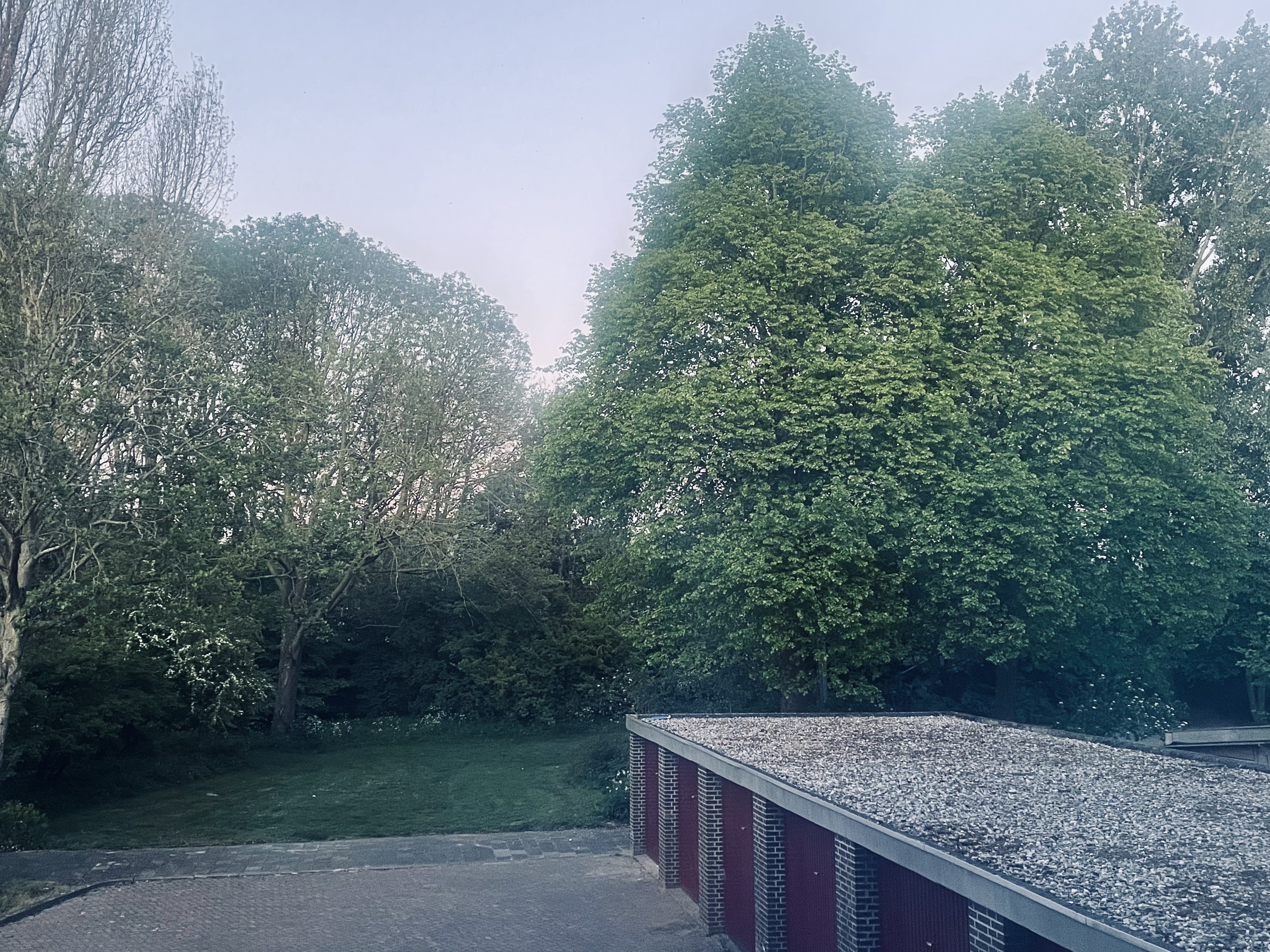 image-20
