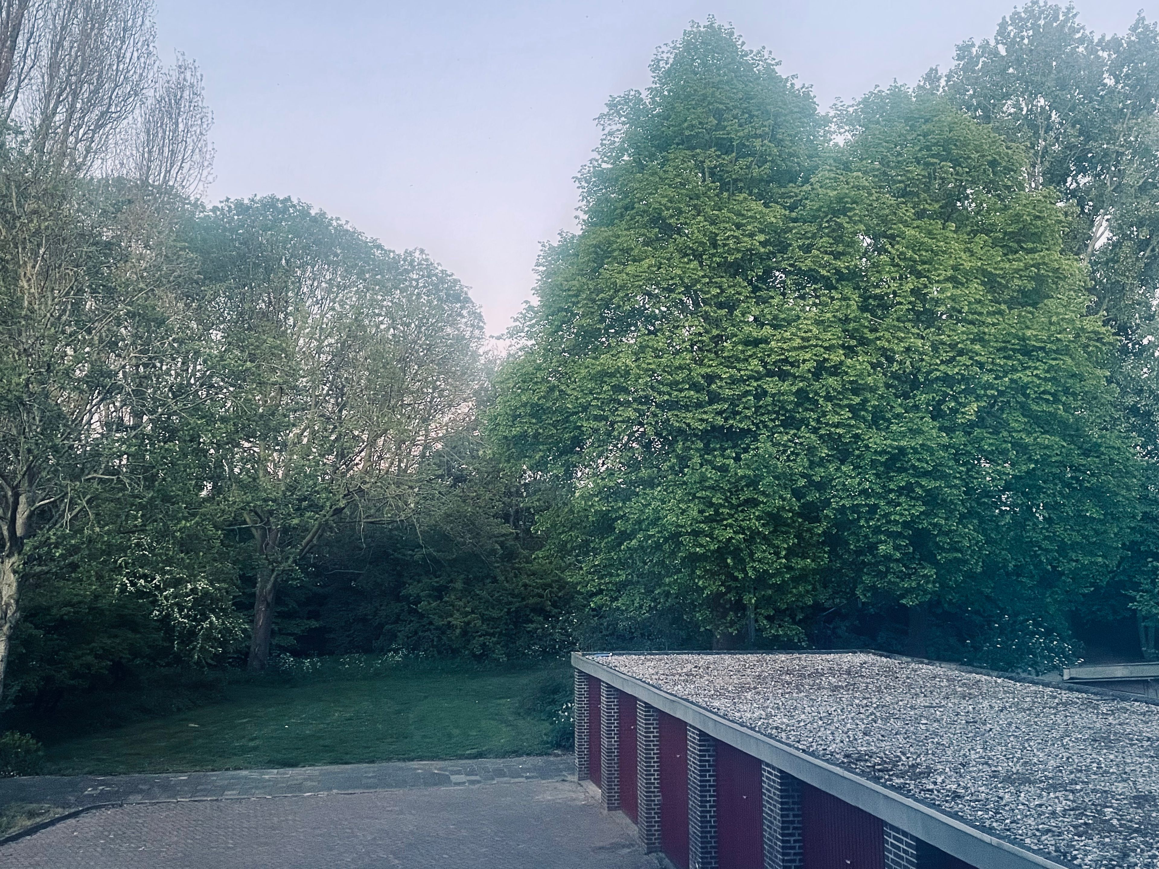 image-20