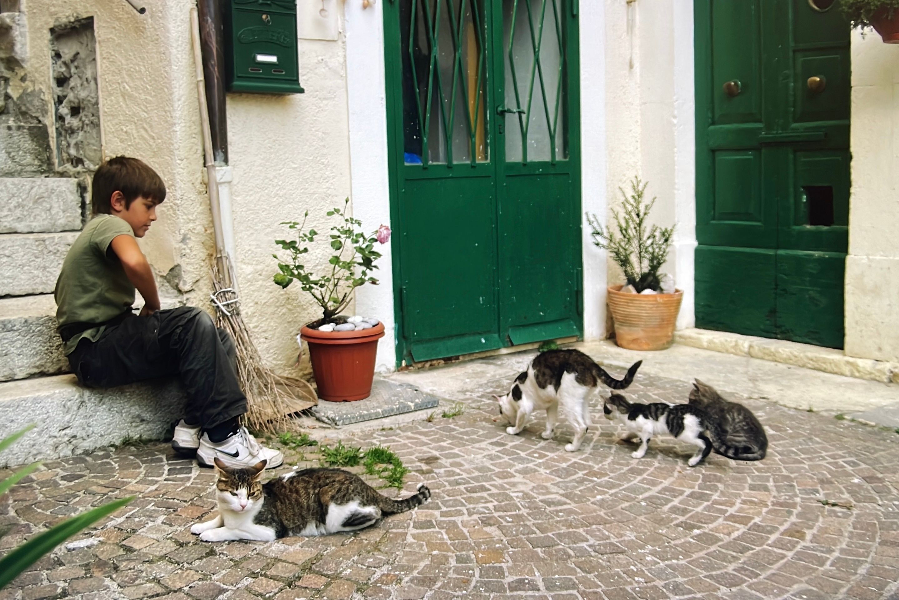 image-9