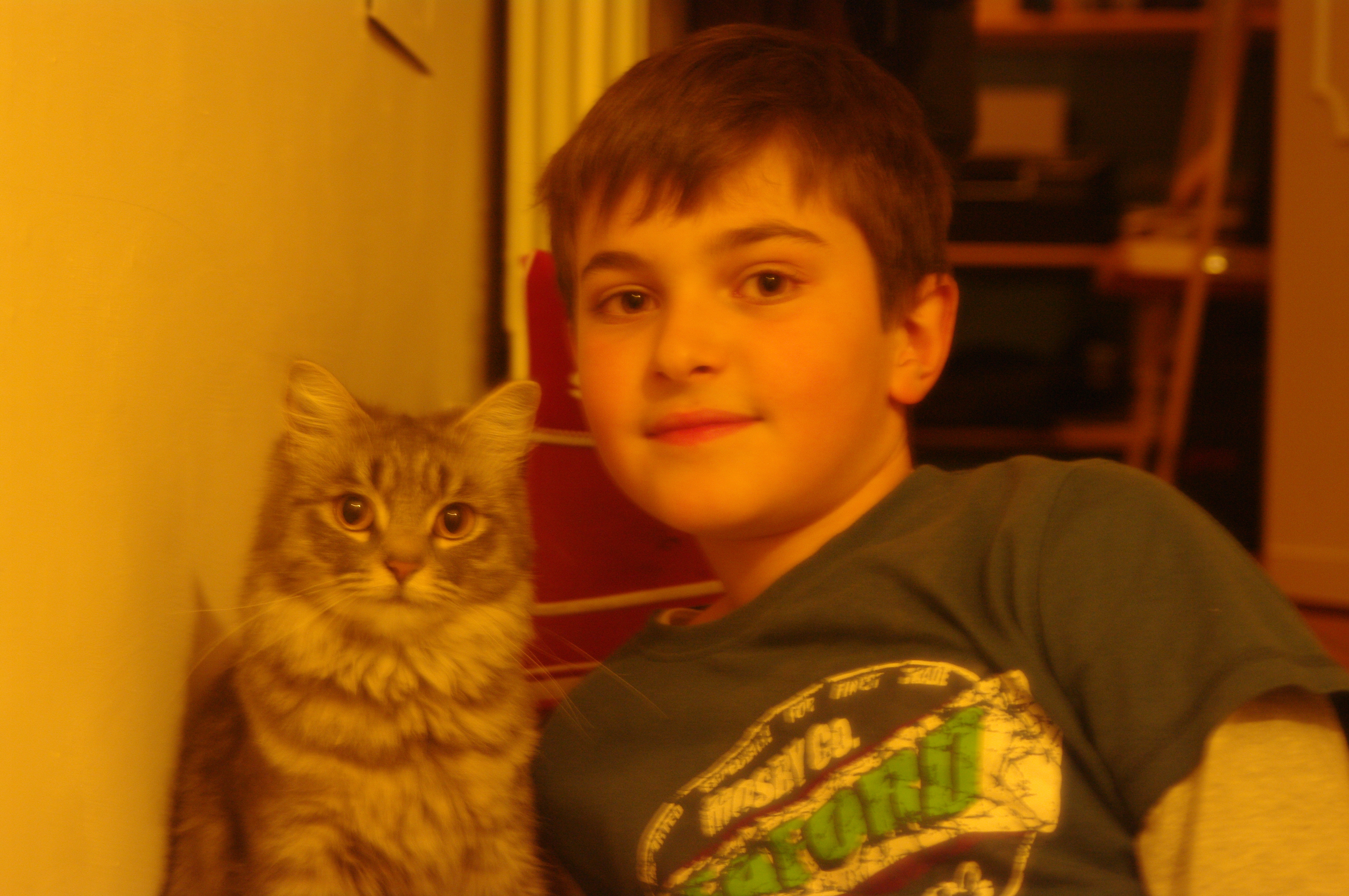 image-6