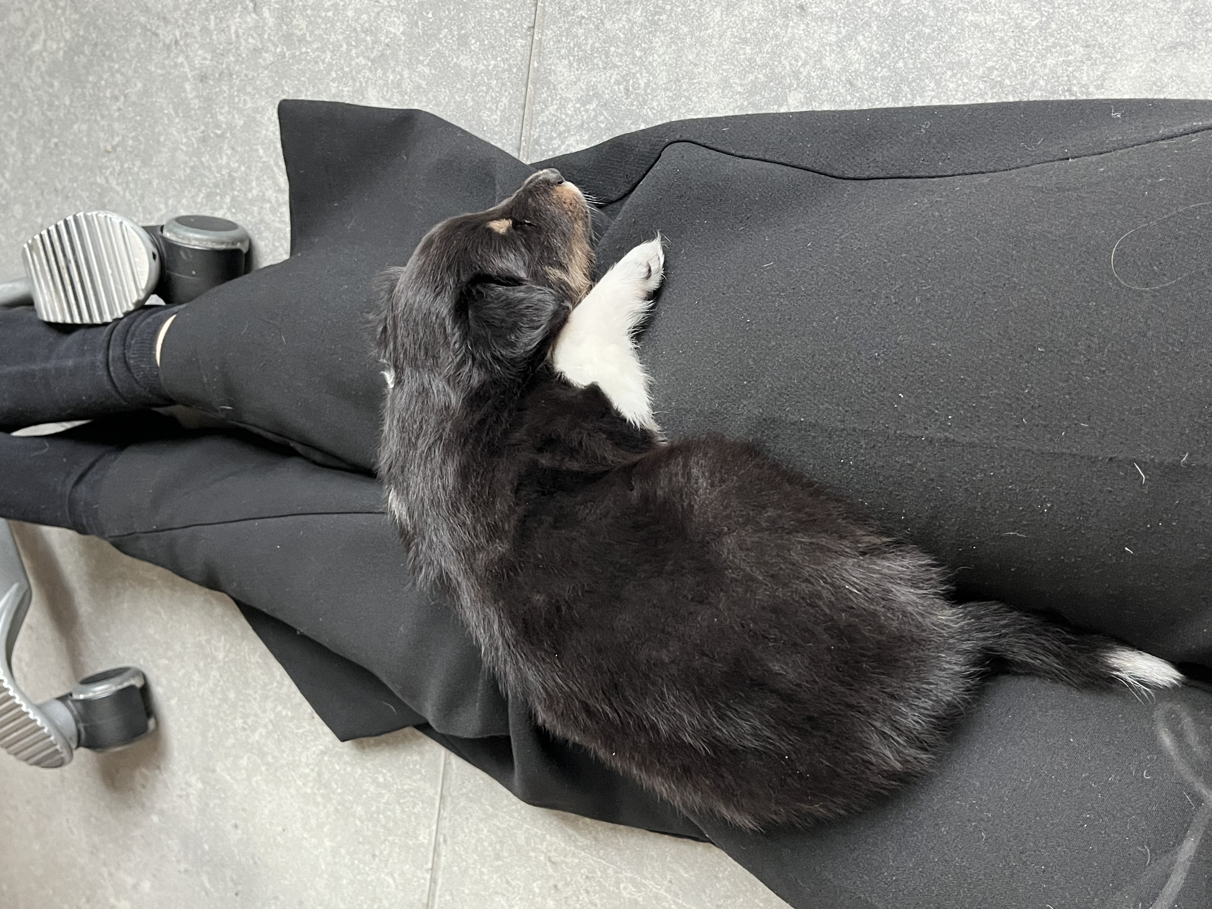 image-4