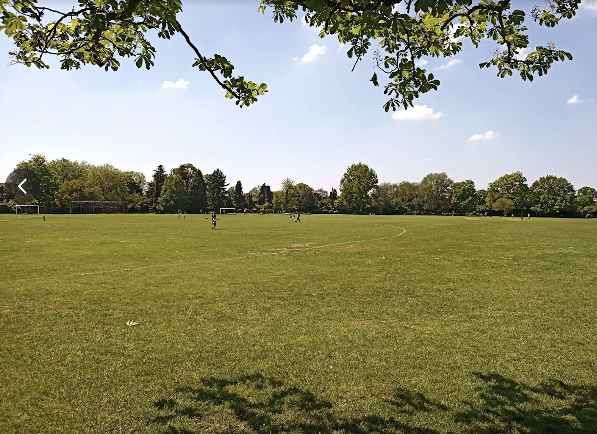 image-11