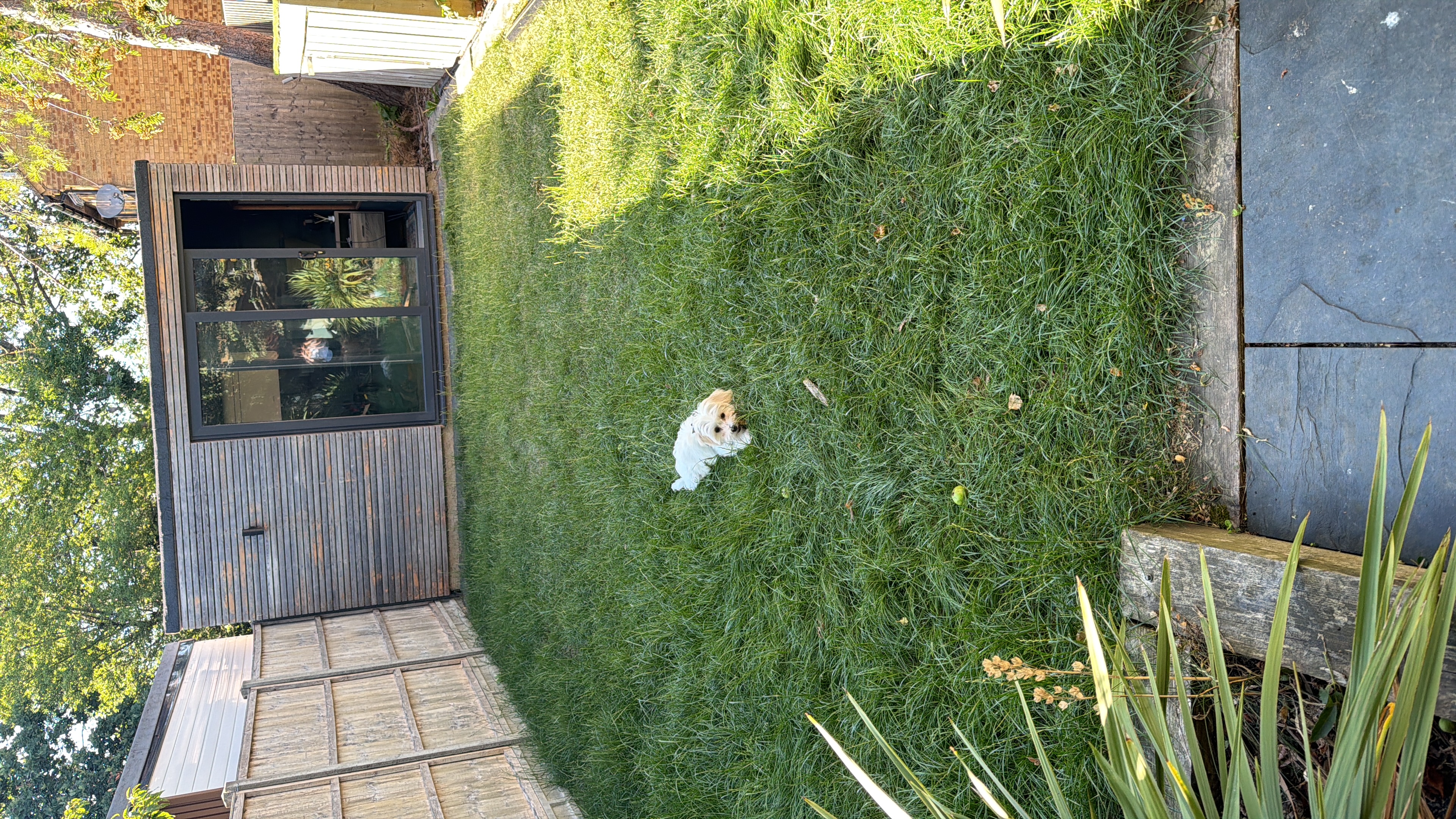 image-7