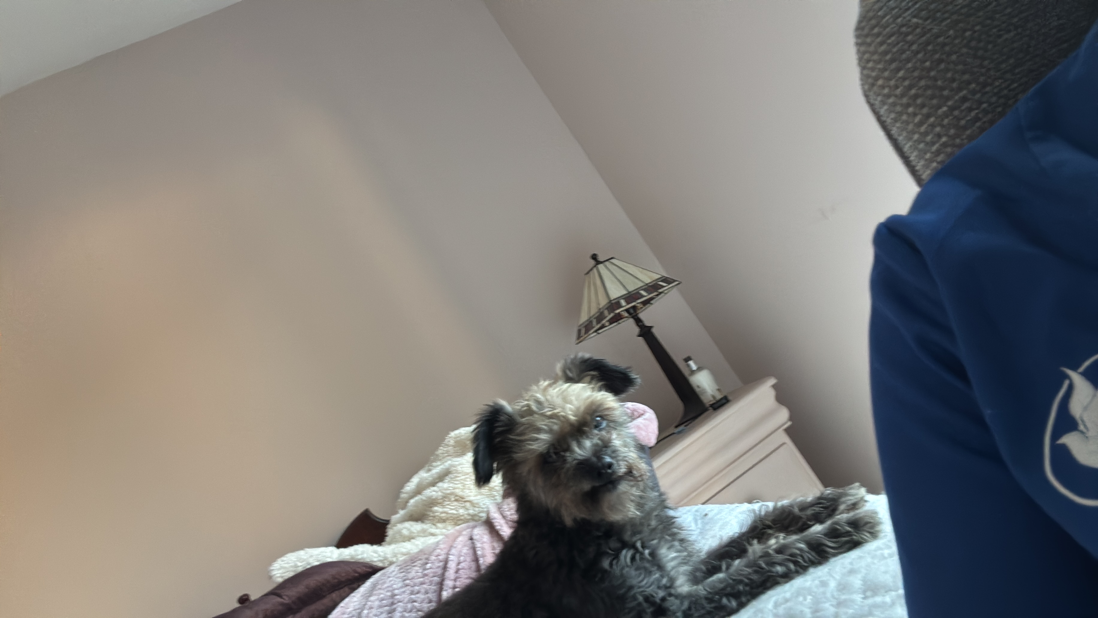 image-13