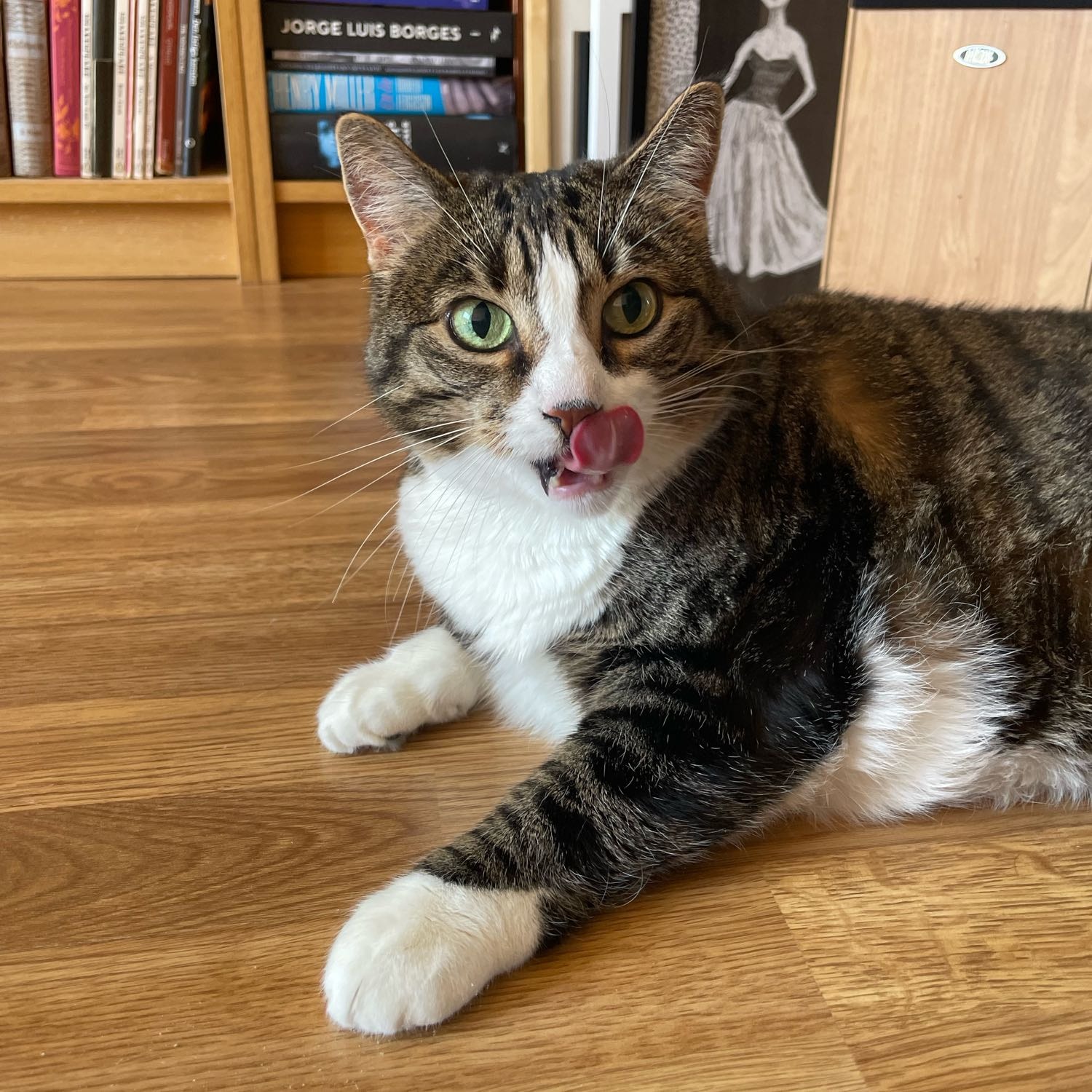 Sputnik