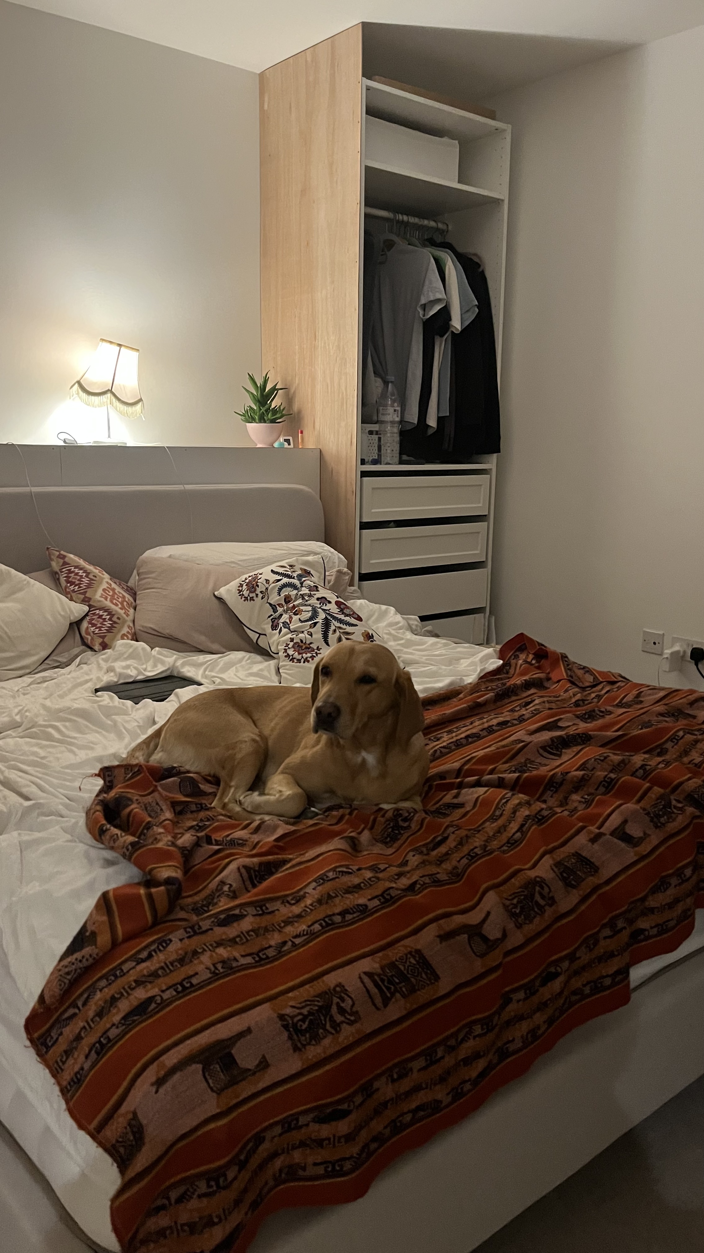 image-12