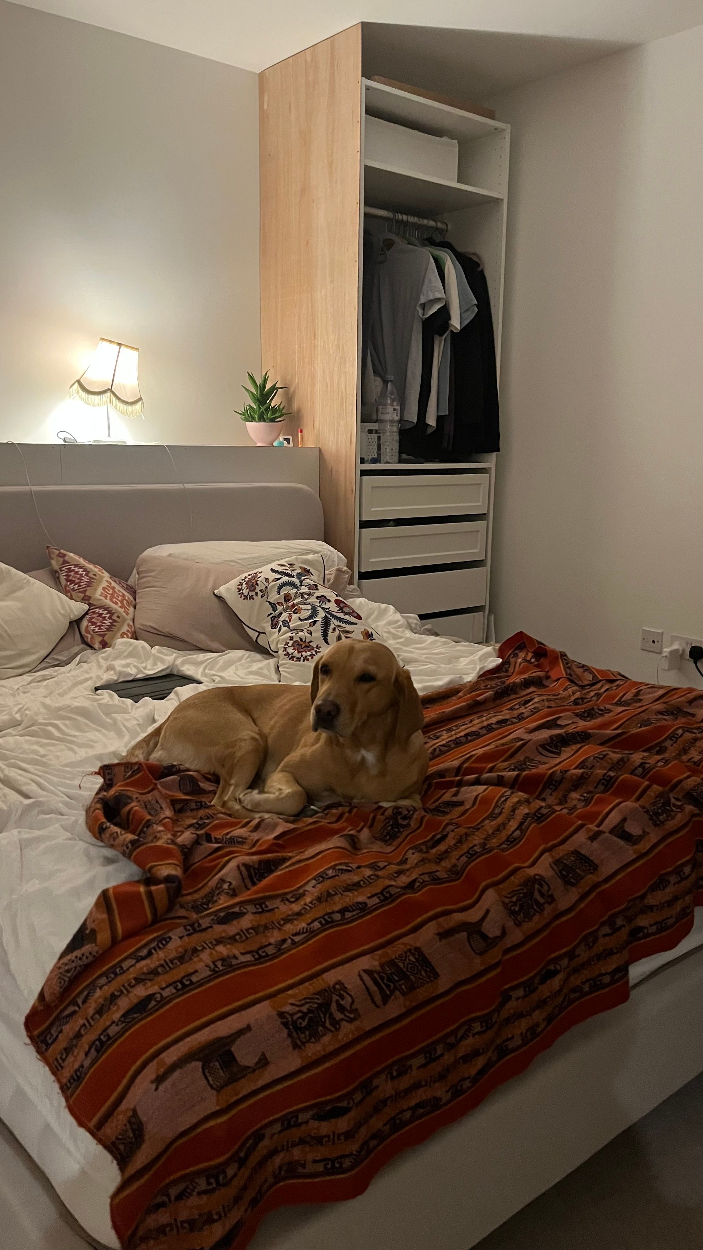 image-12