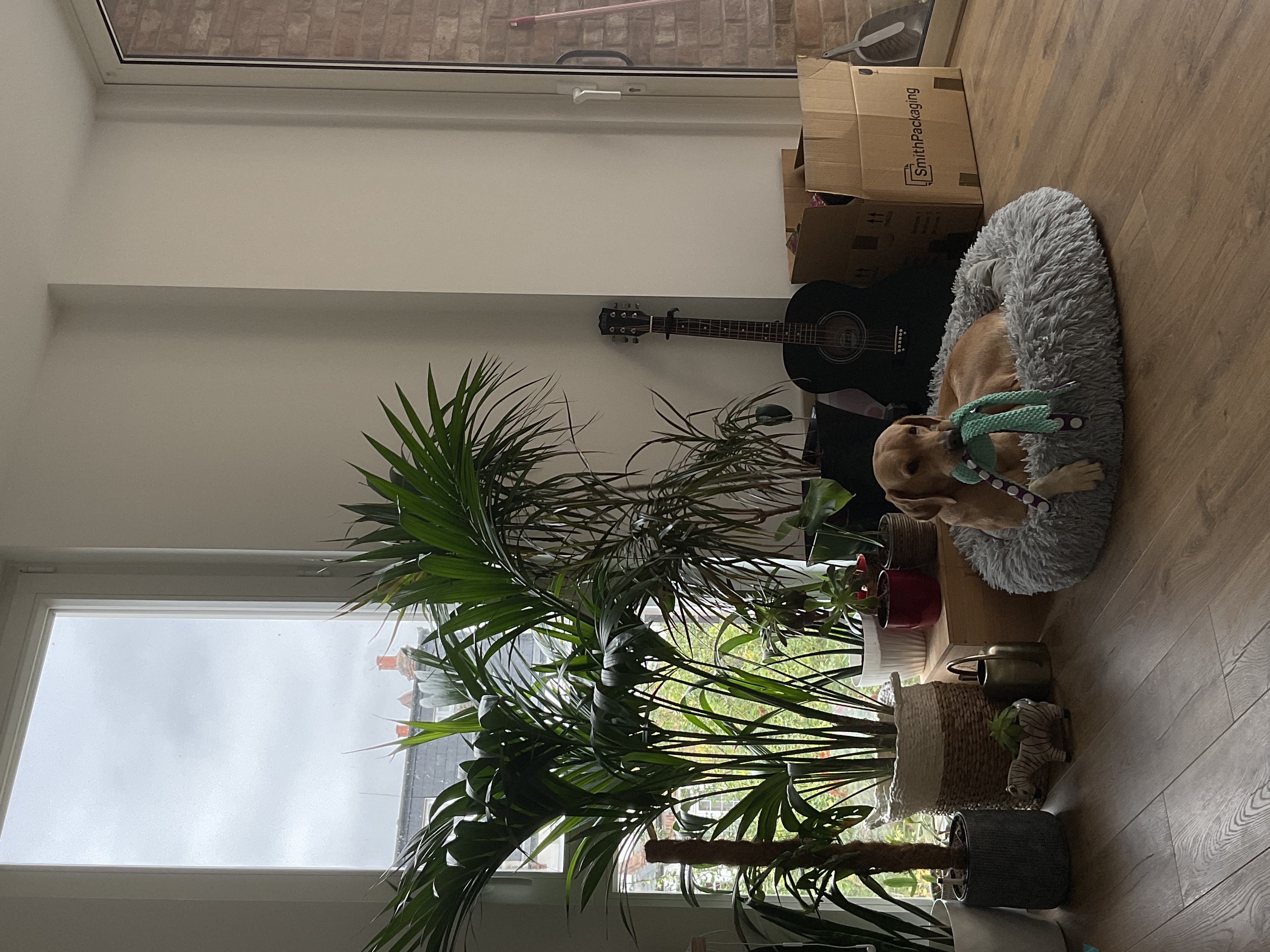 image-10