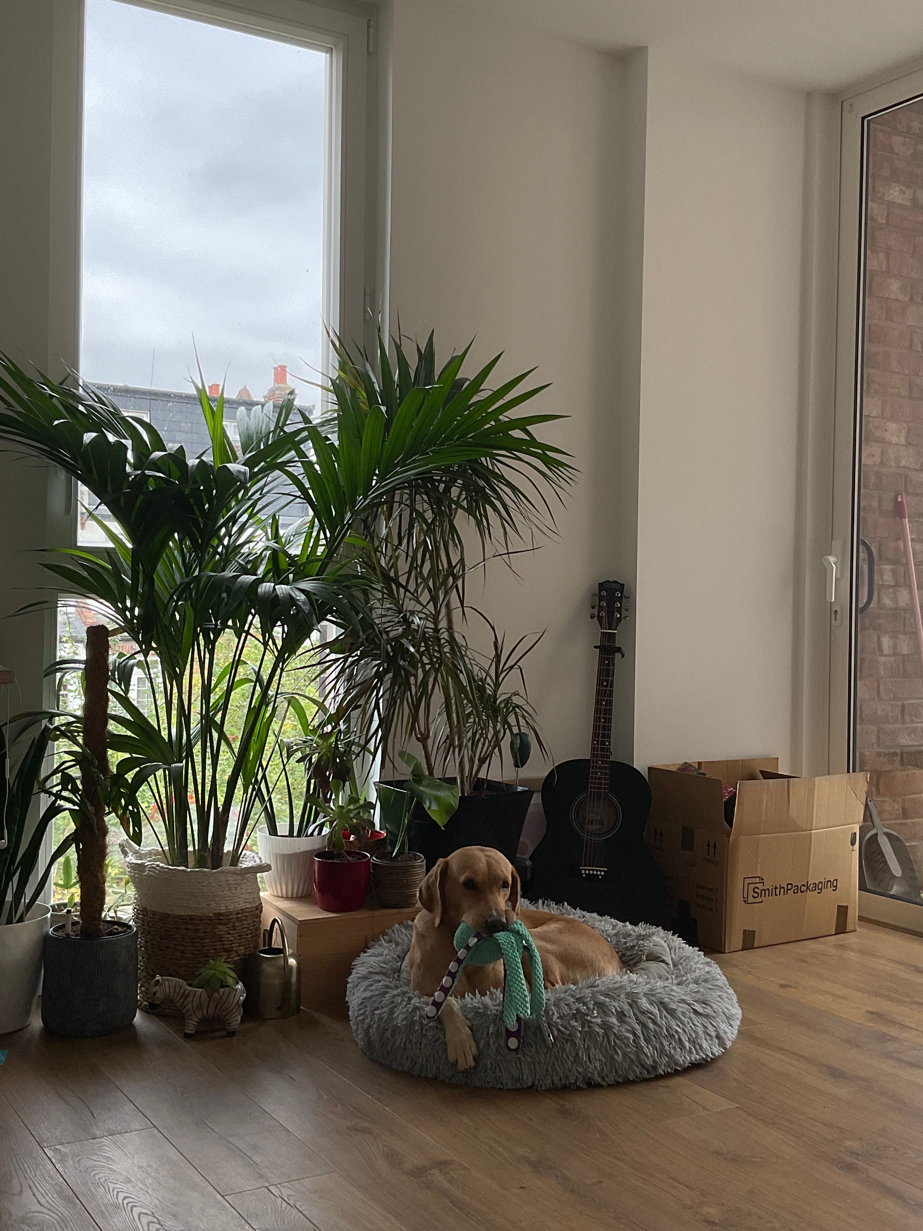 image-10