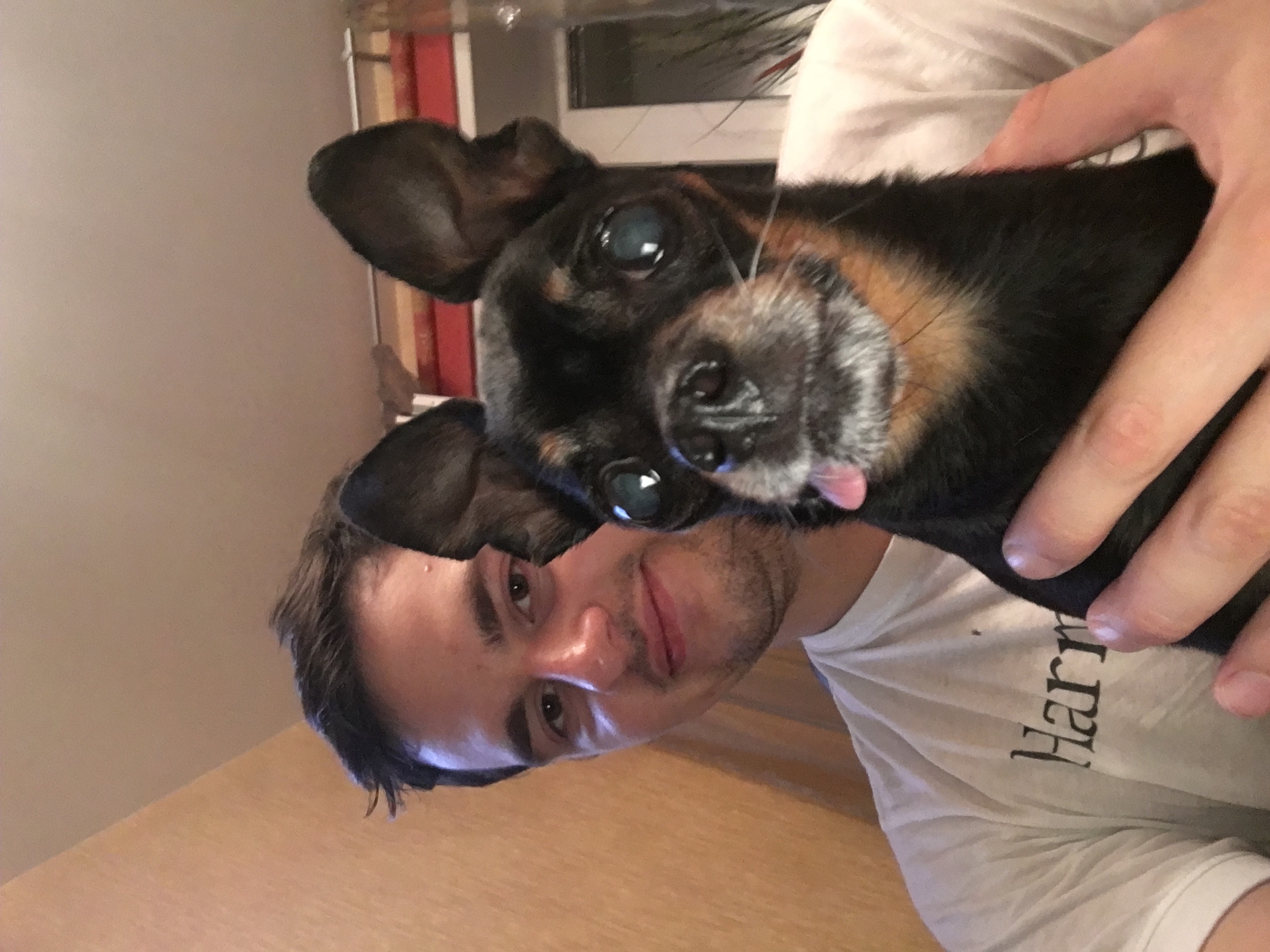 image-7