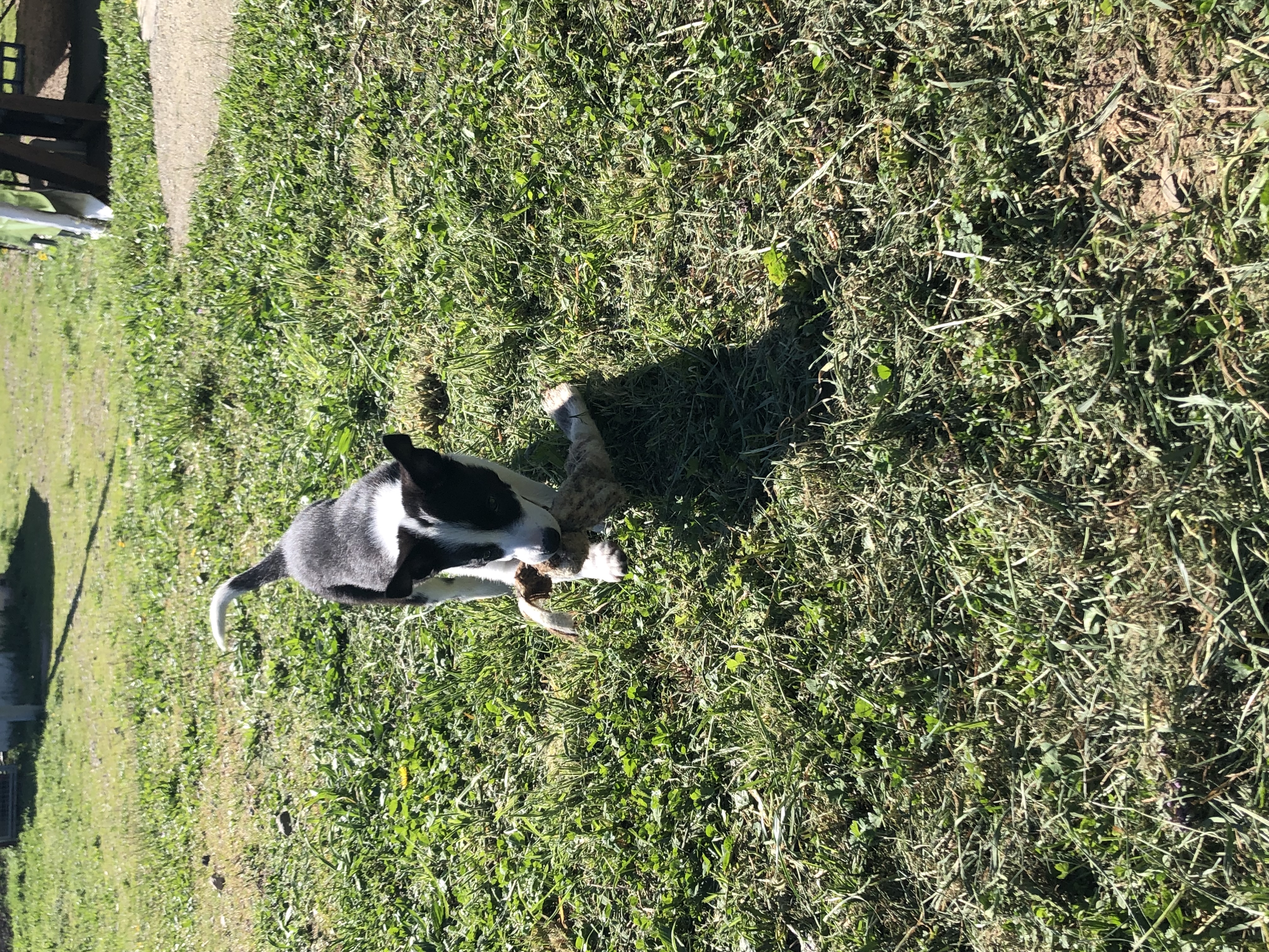 image-5