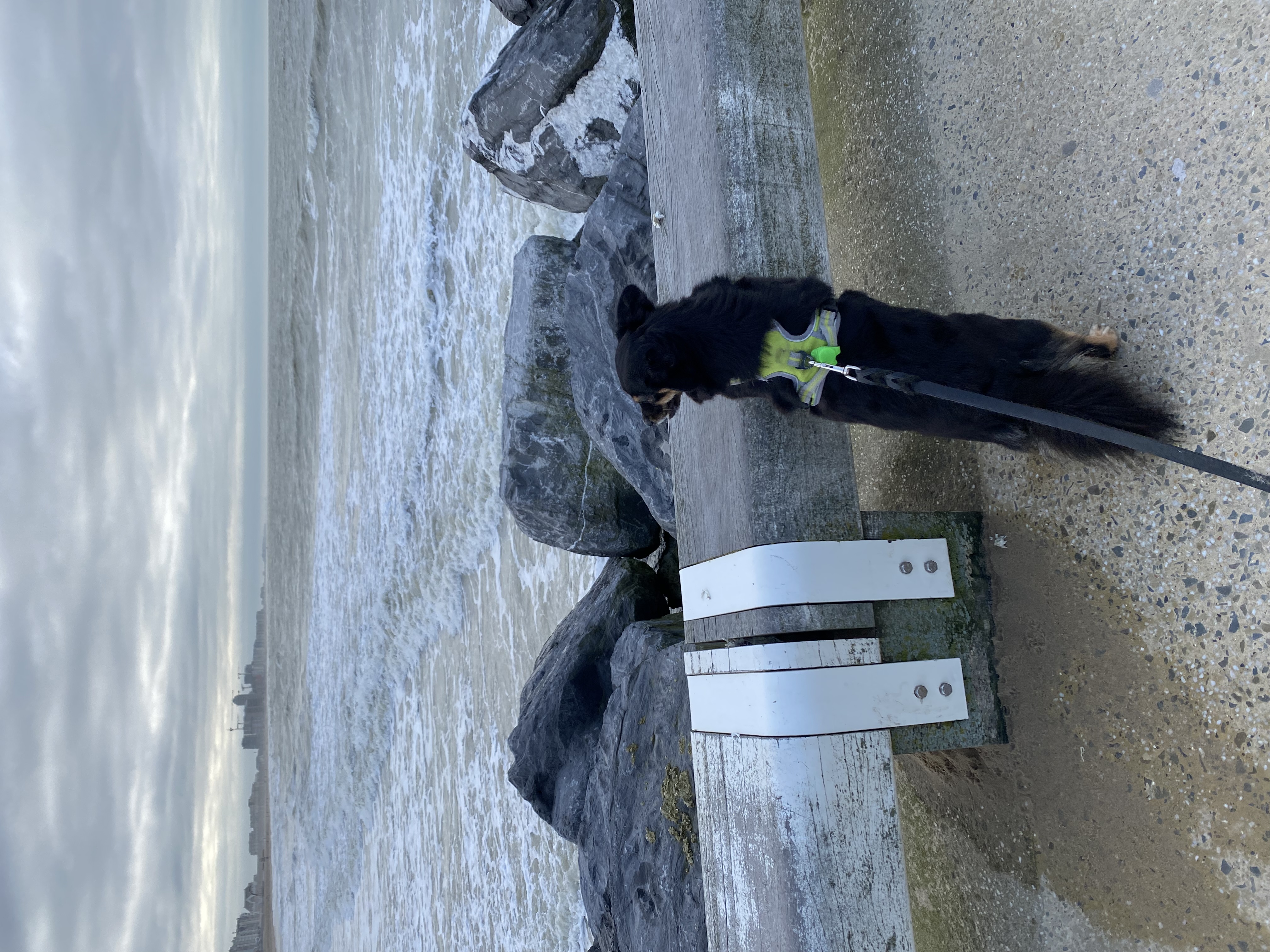 image-10