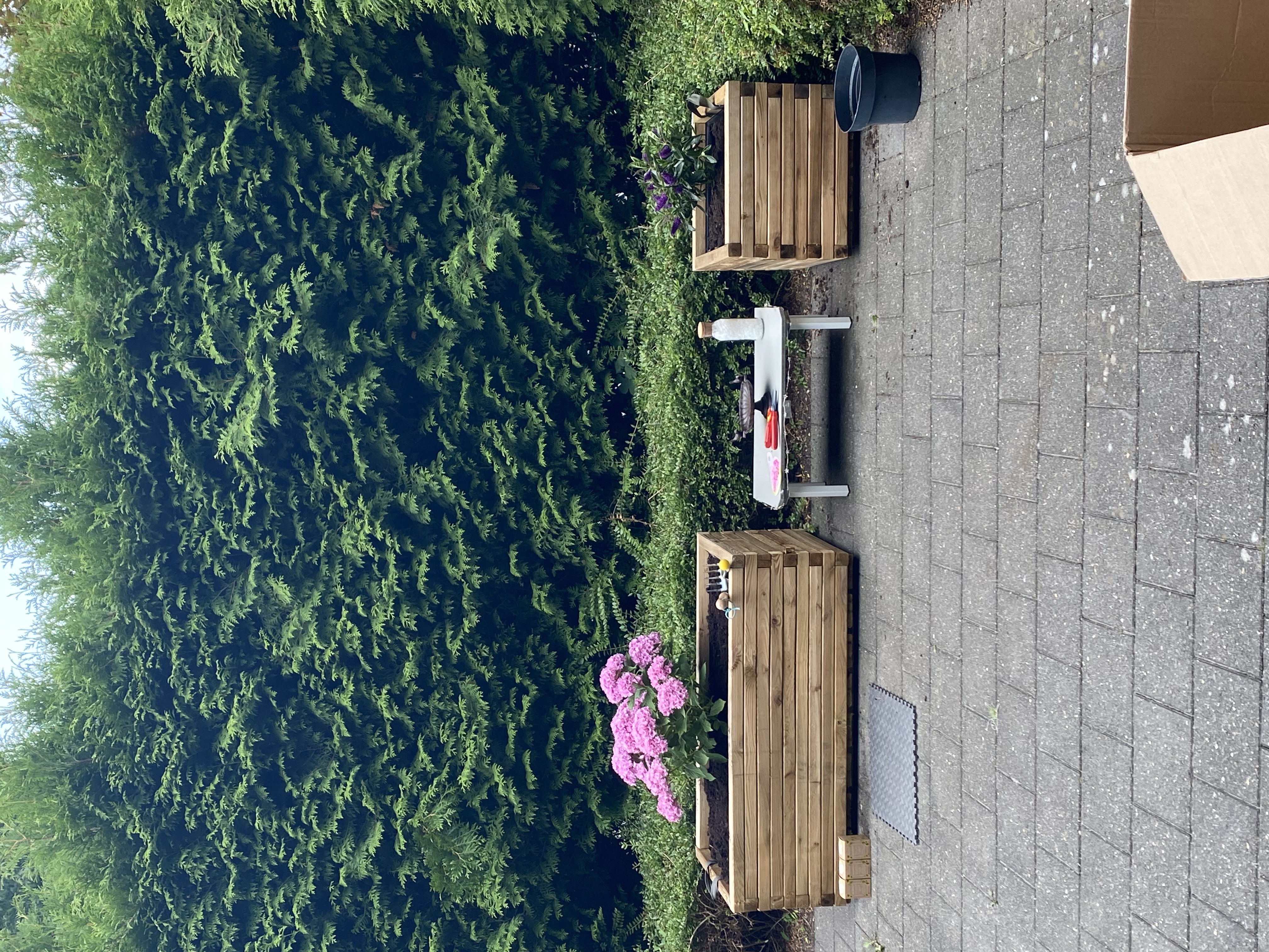 image-14