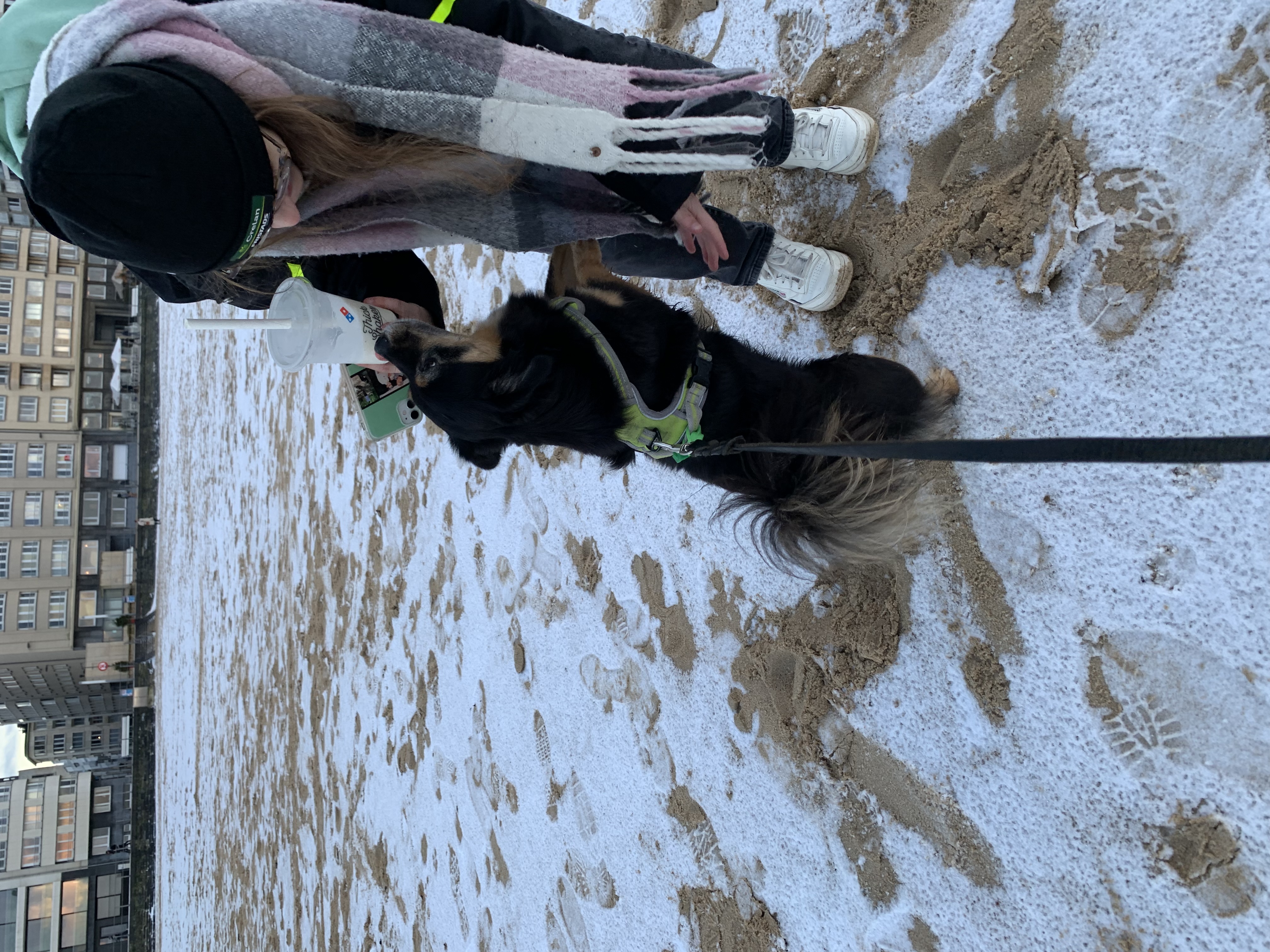 image-7