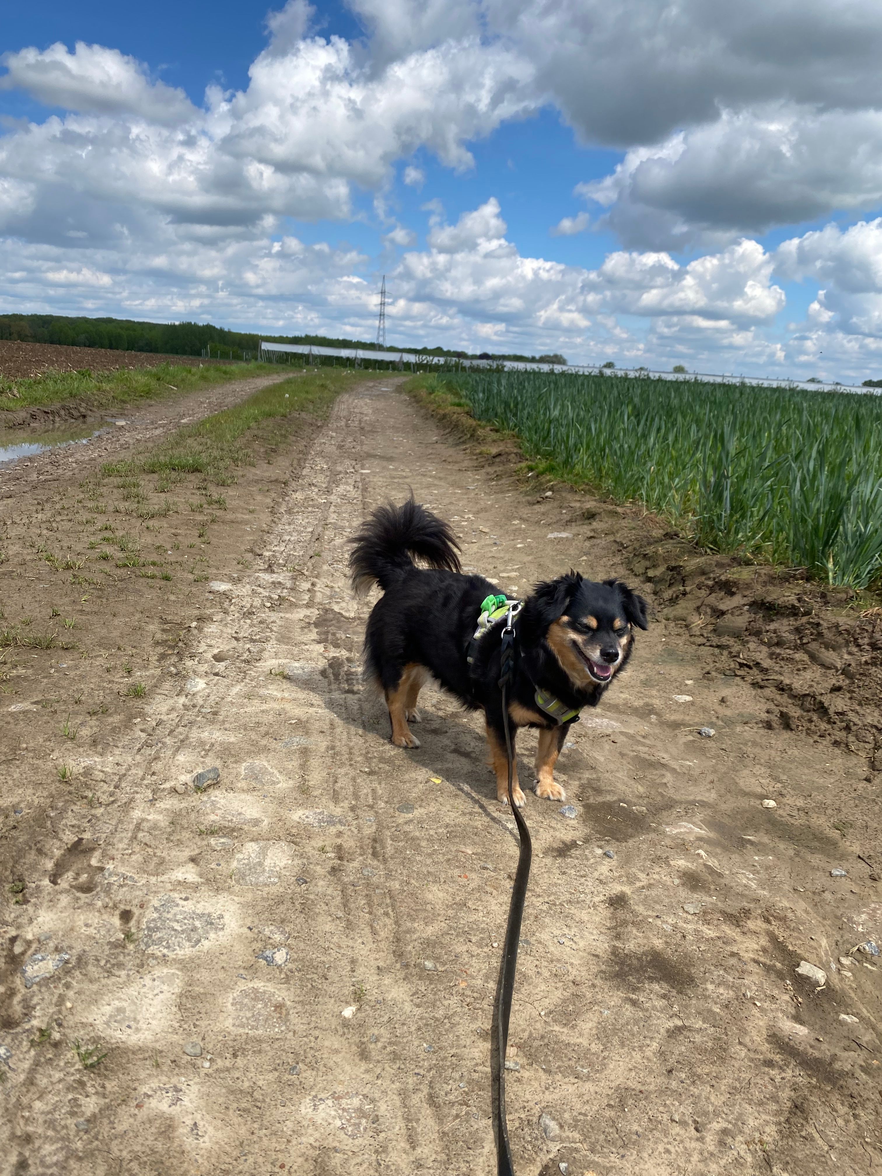 image-9