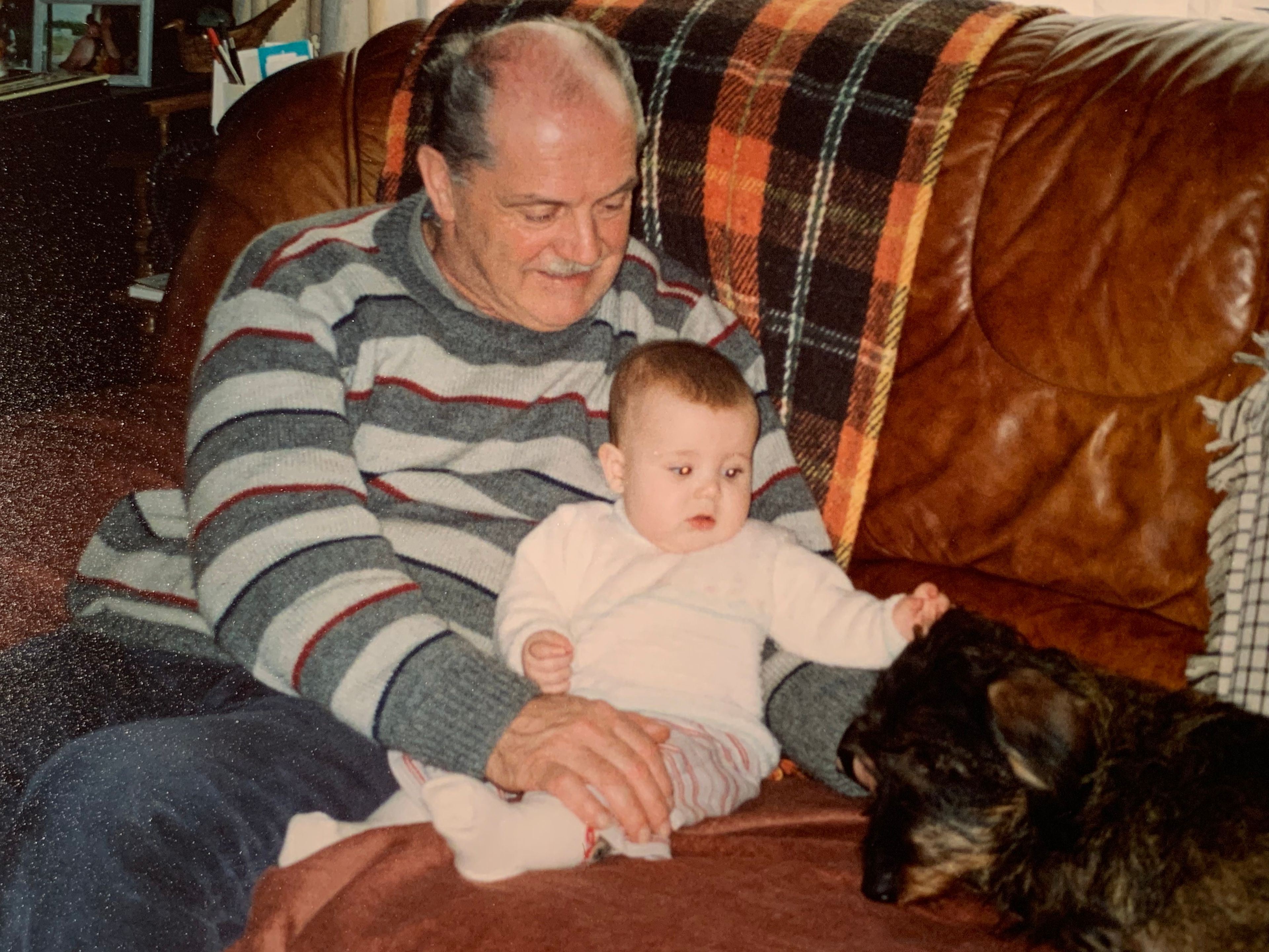 image-11