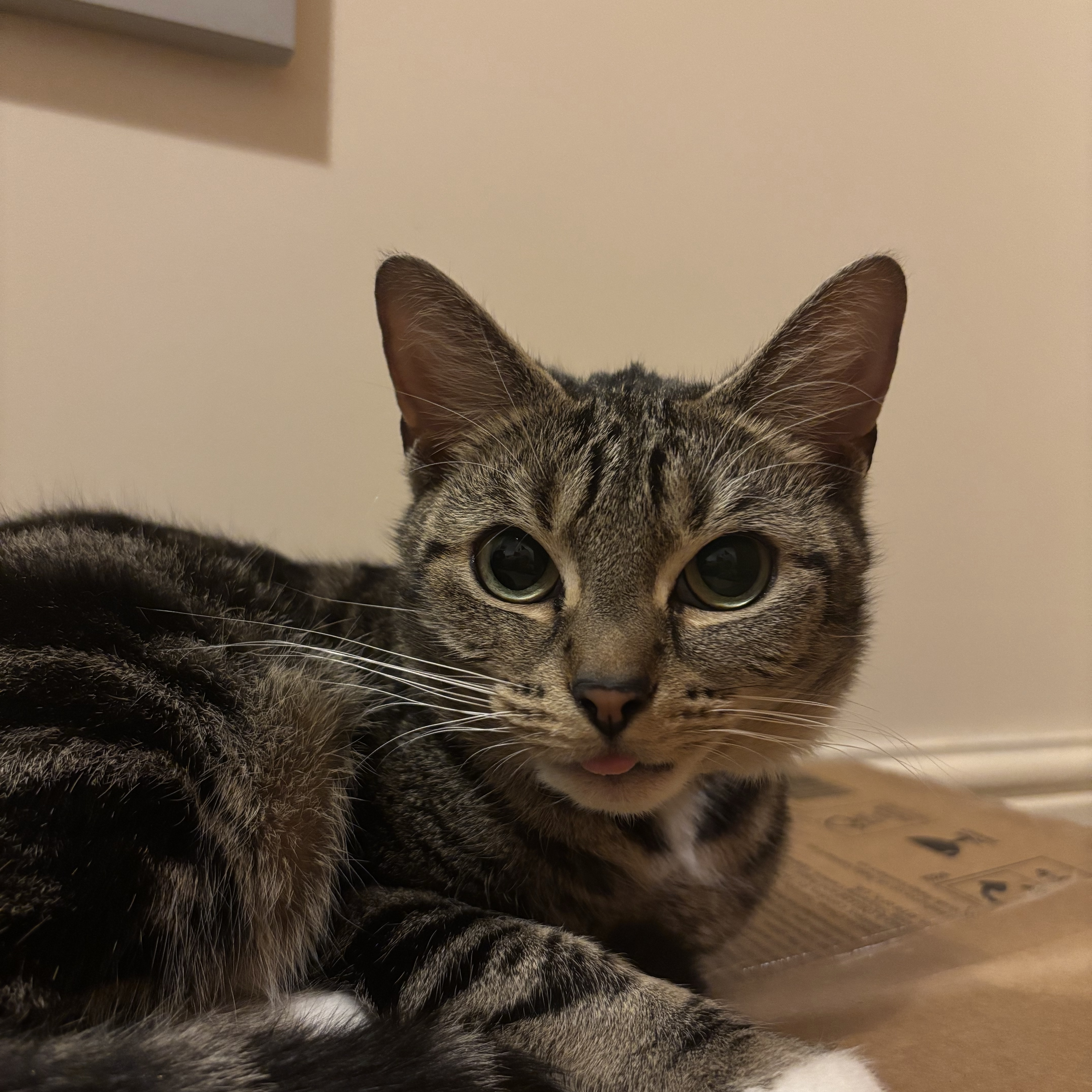 Pepper