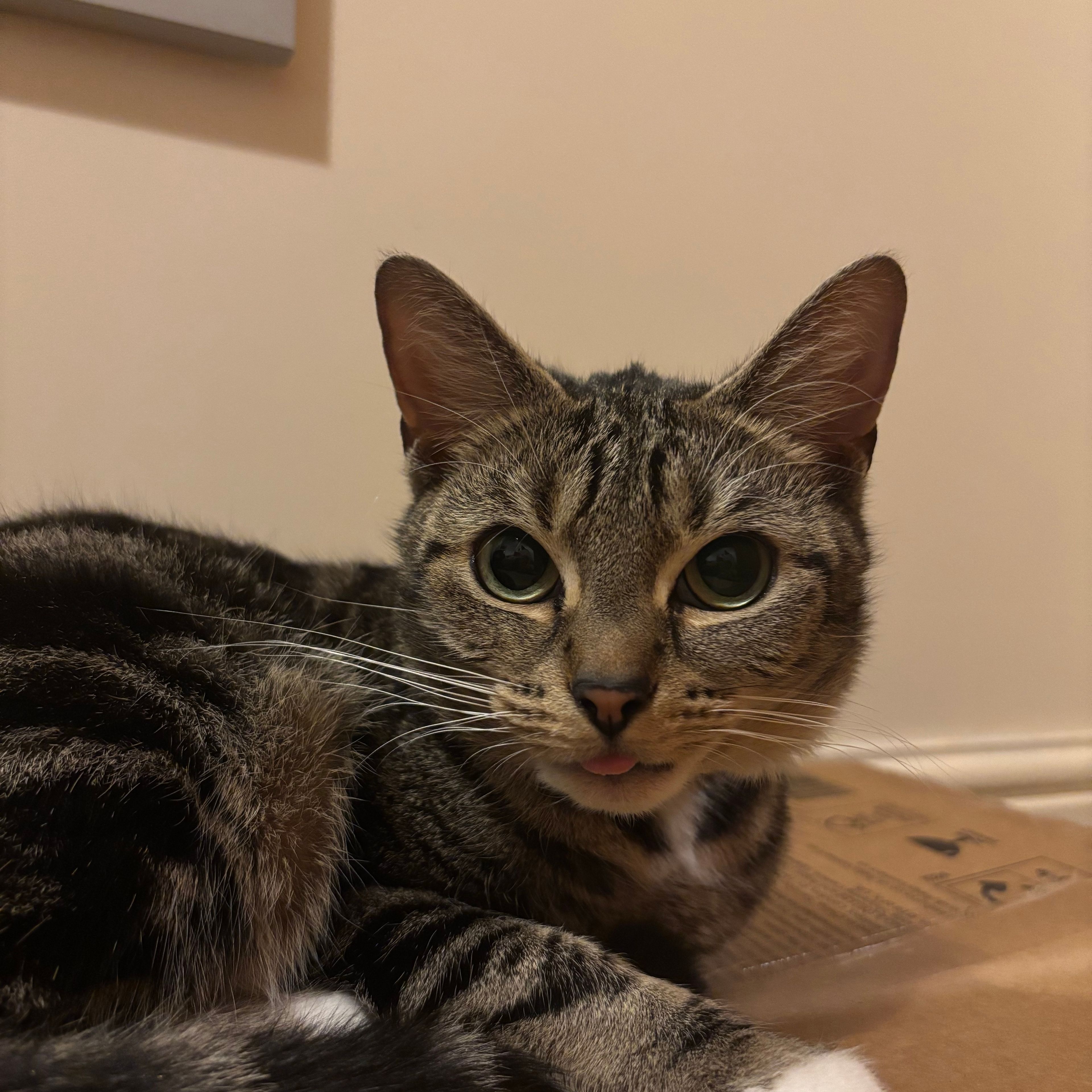 Pepper