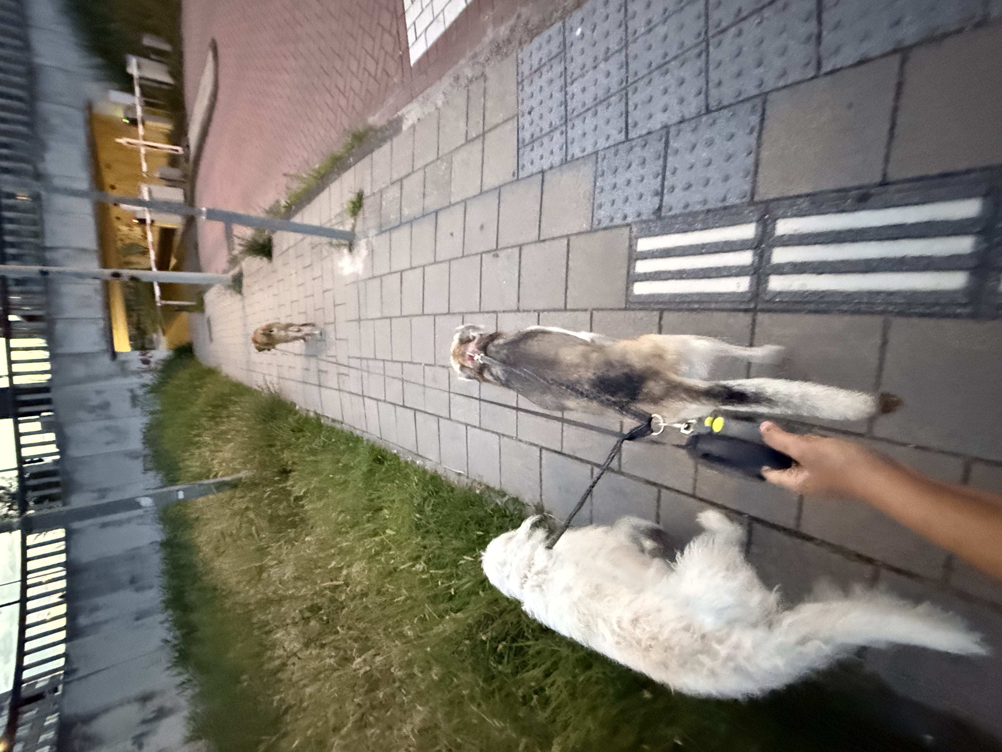 image-8