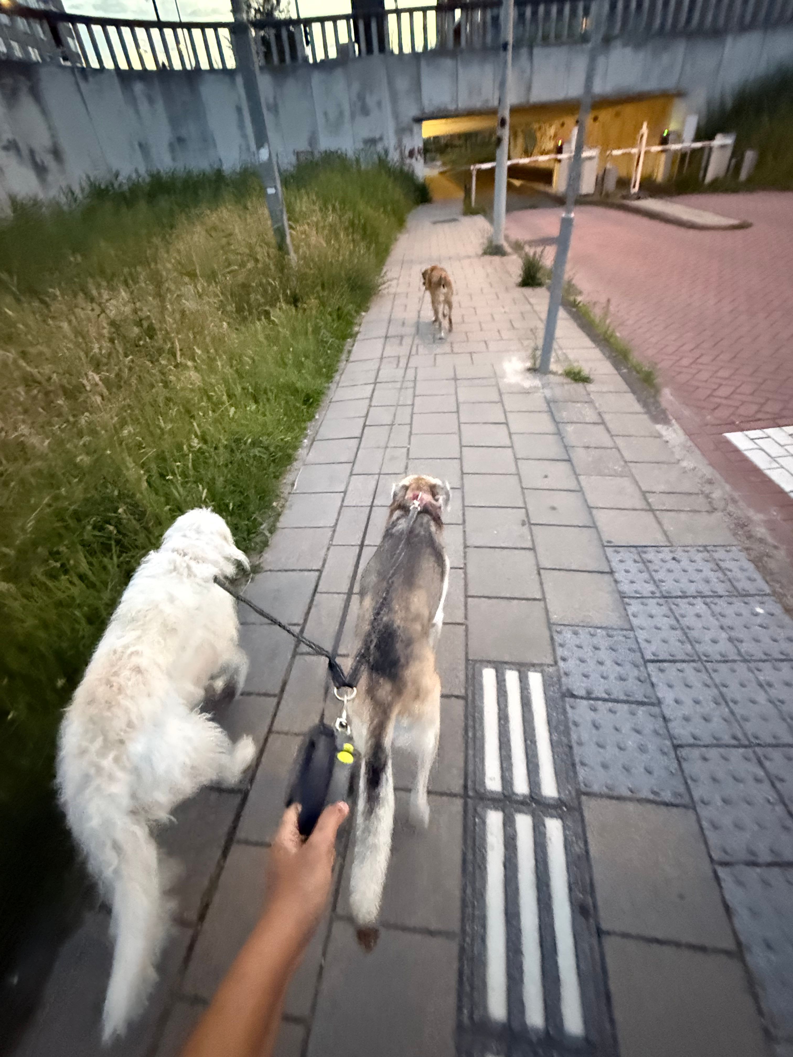 image-8