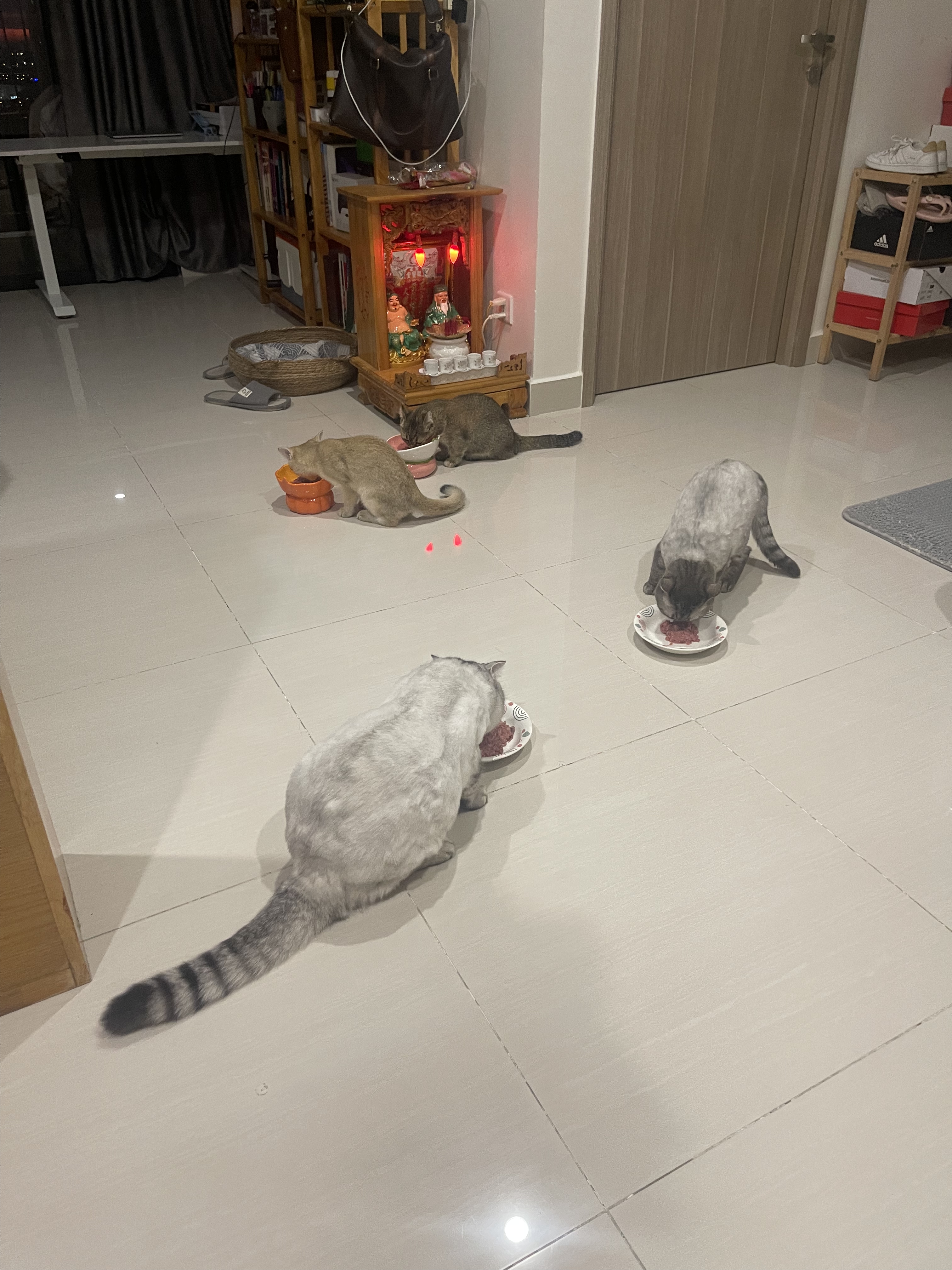 image-6