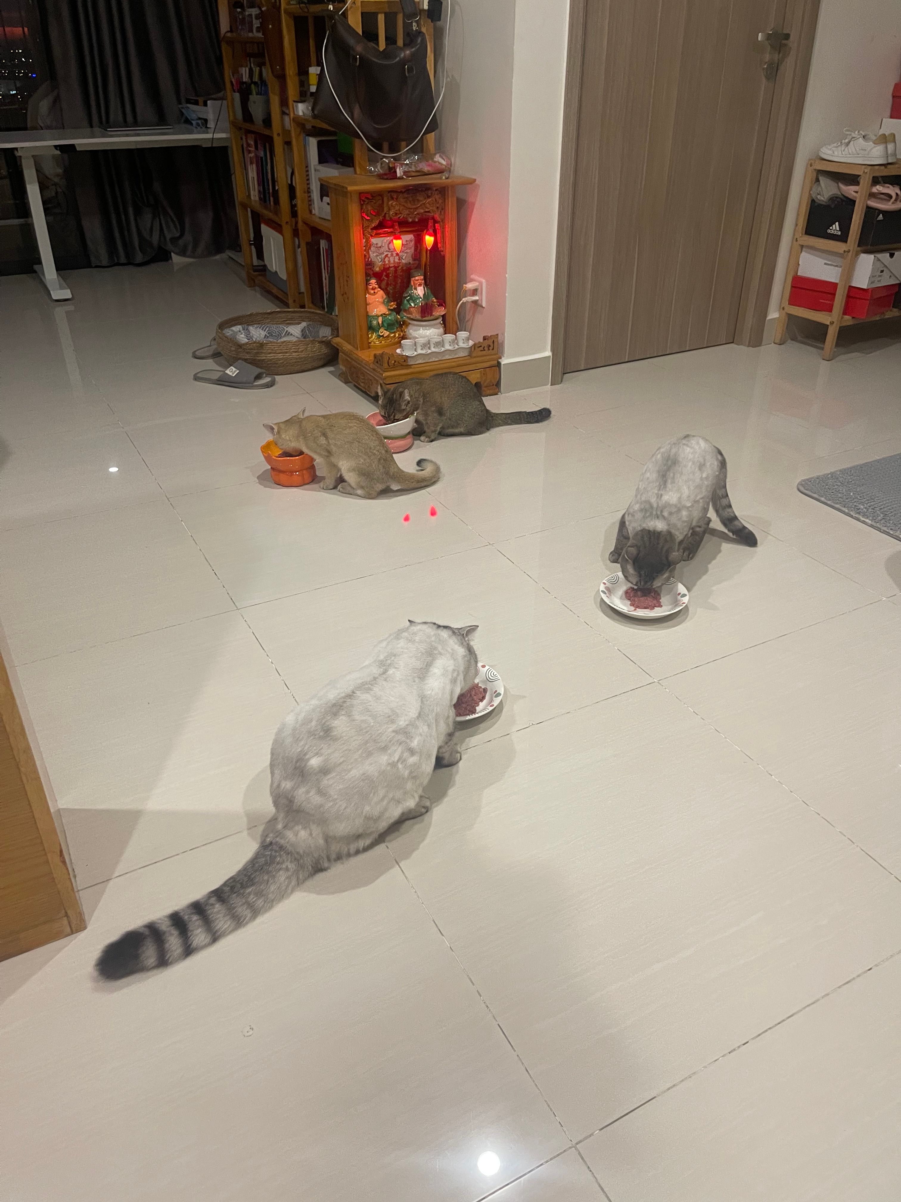 image-6