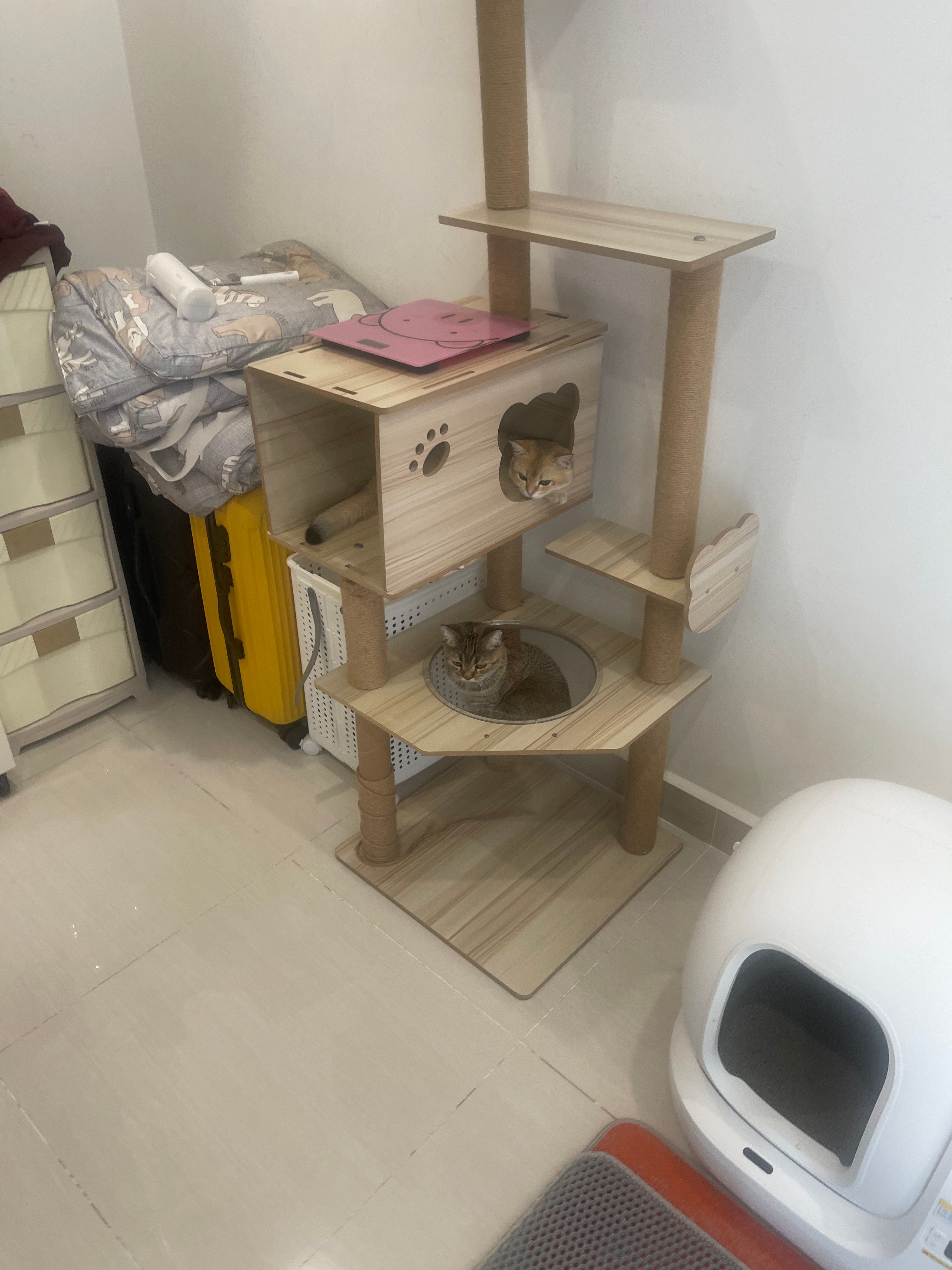 image-8