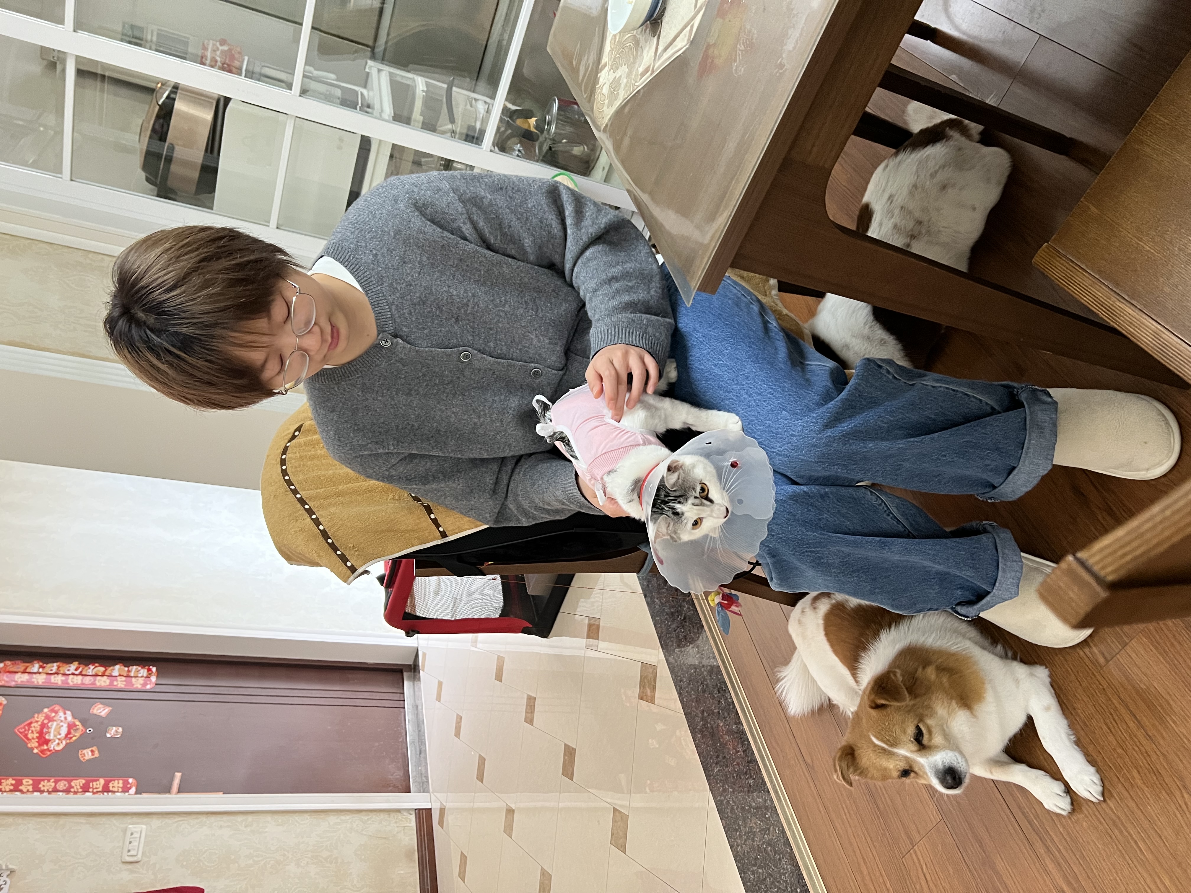 image-7
