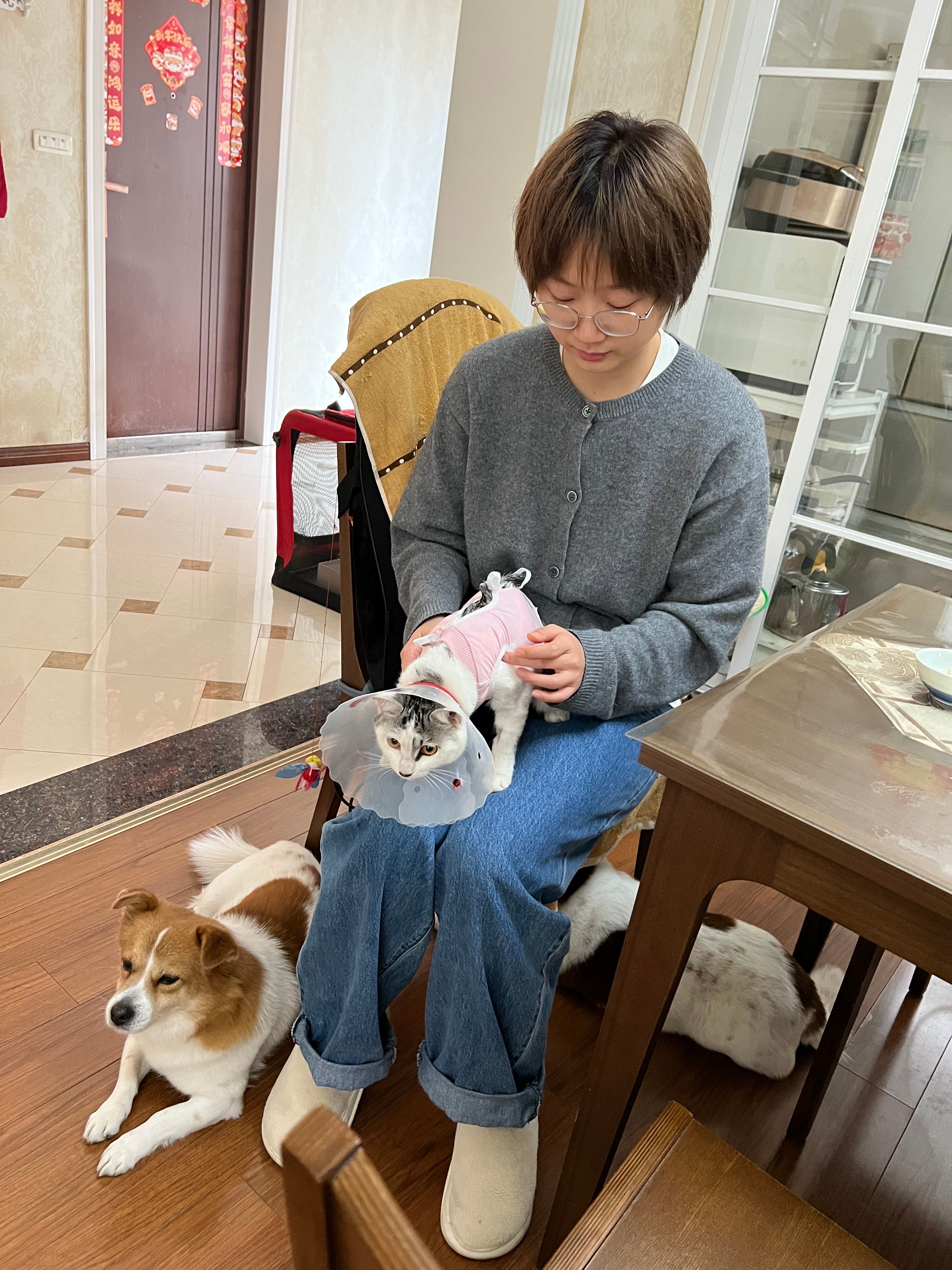 image-7