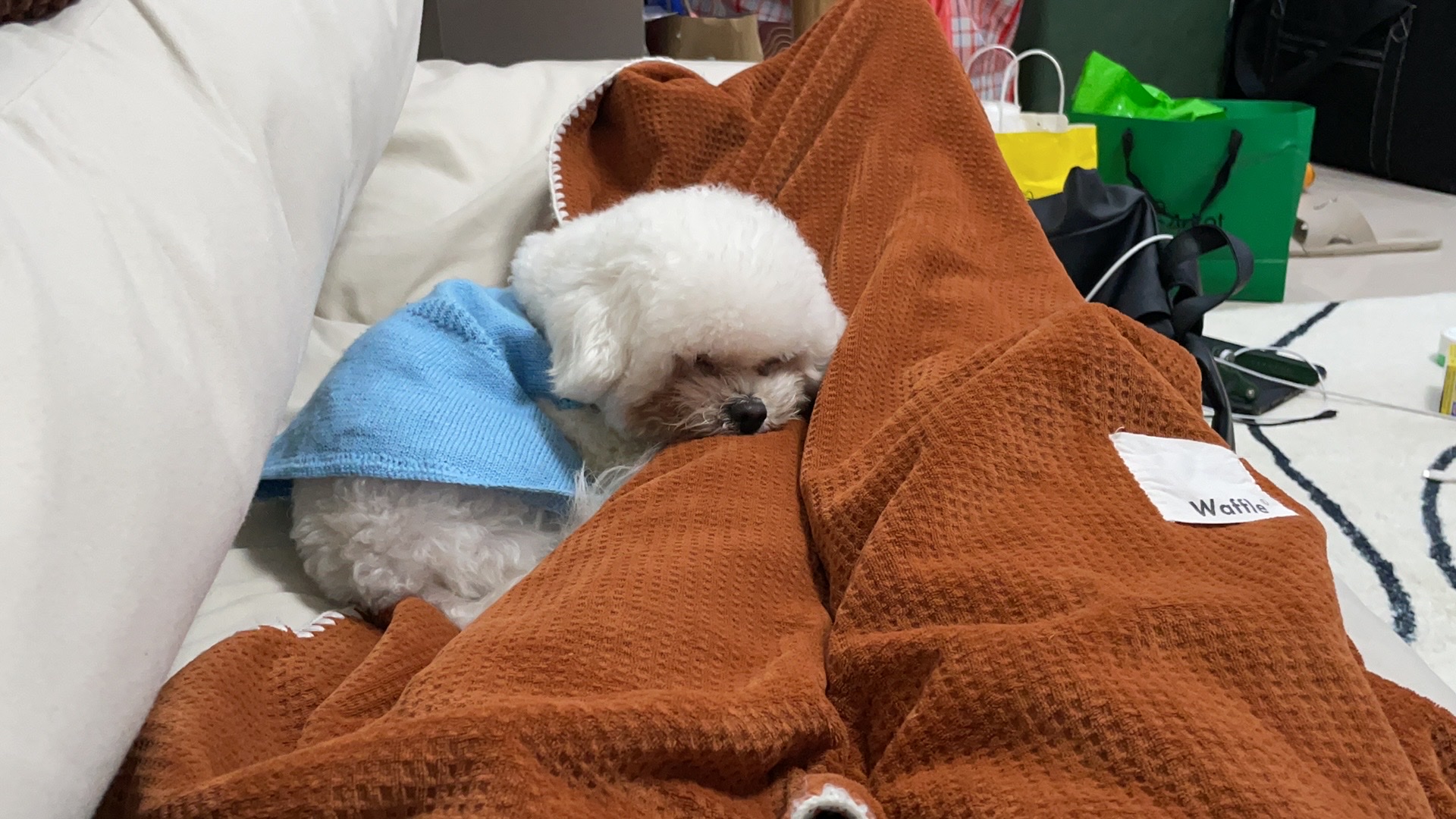 image-11
