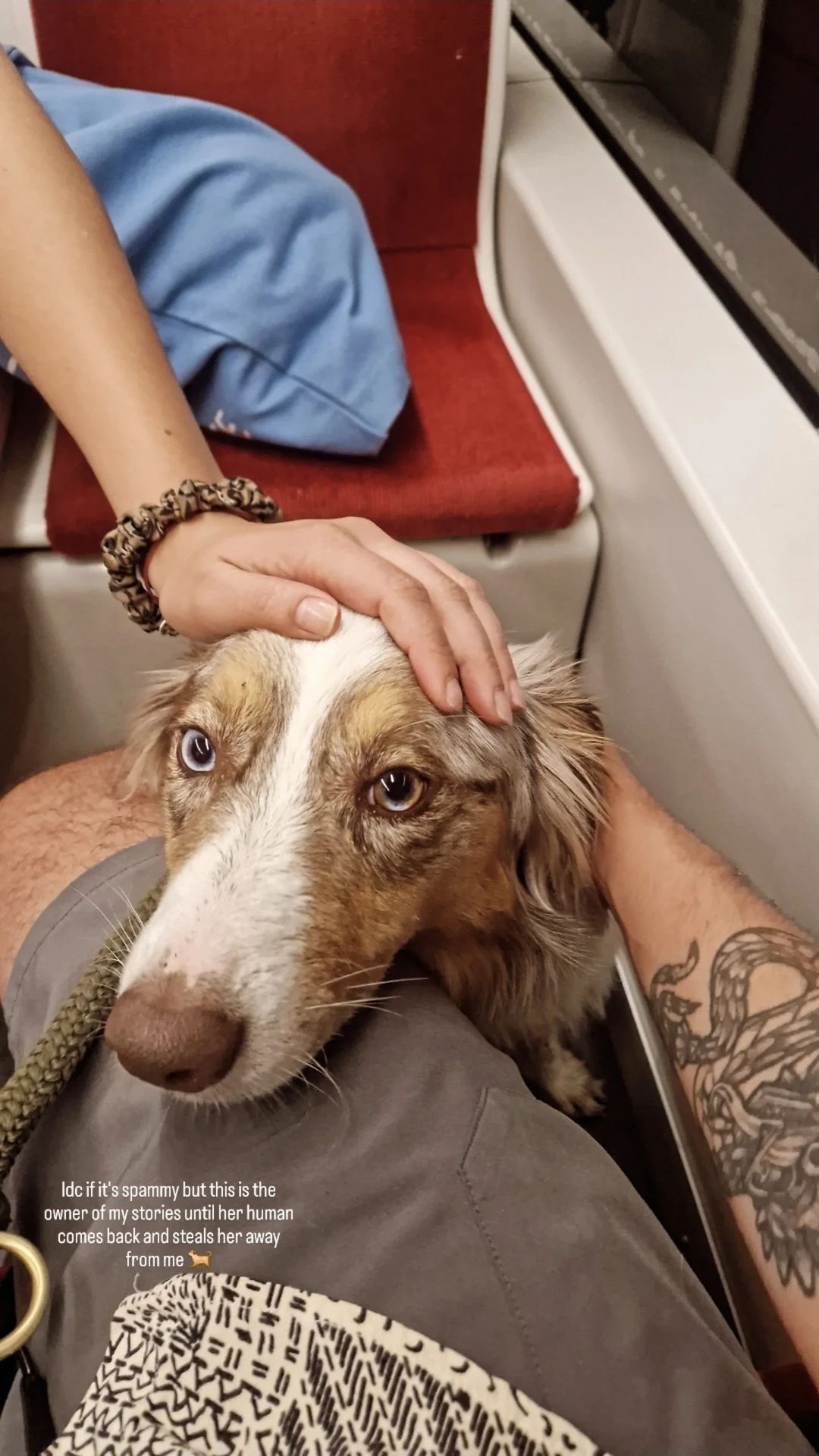 image-3