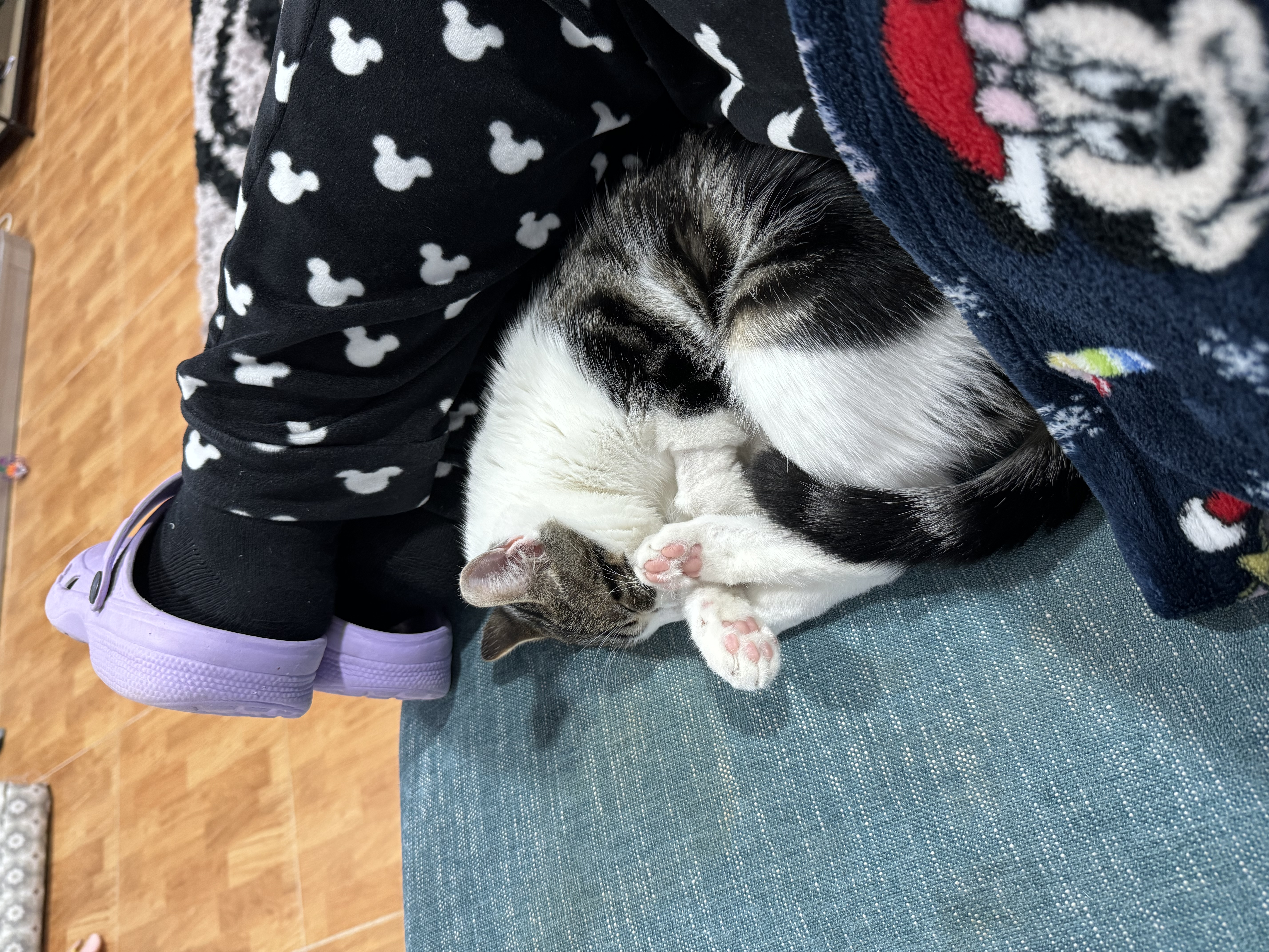 image-7