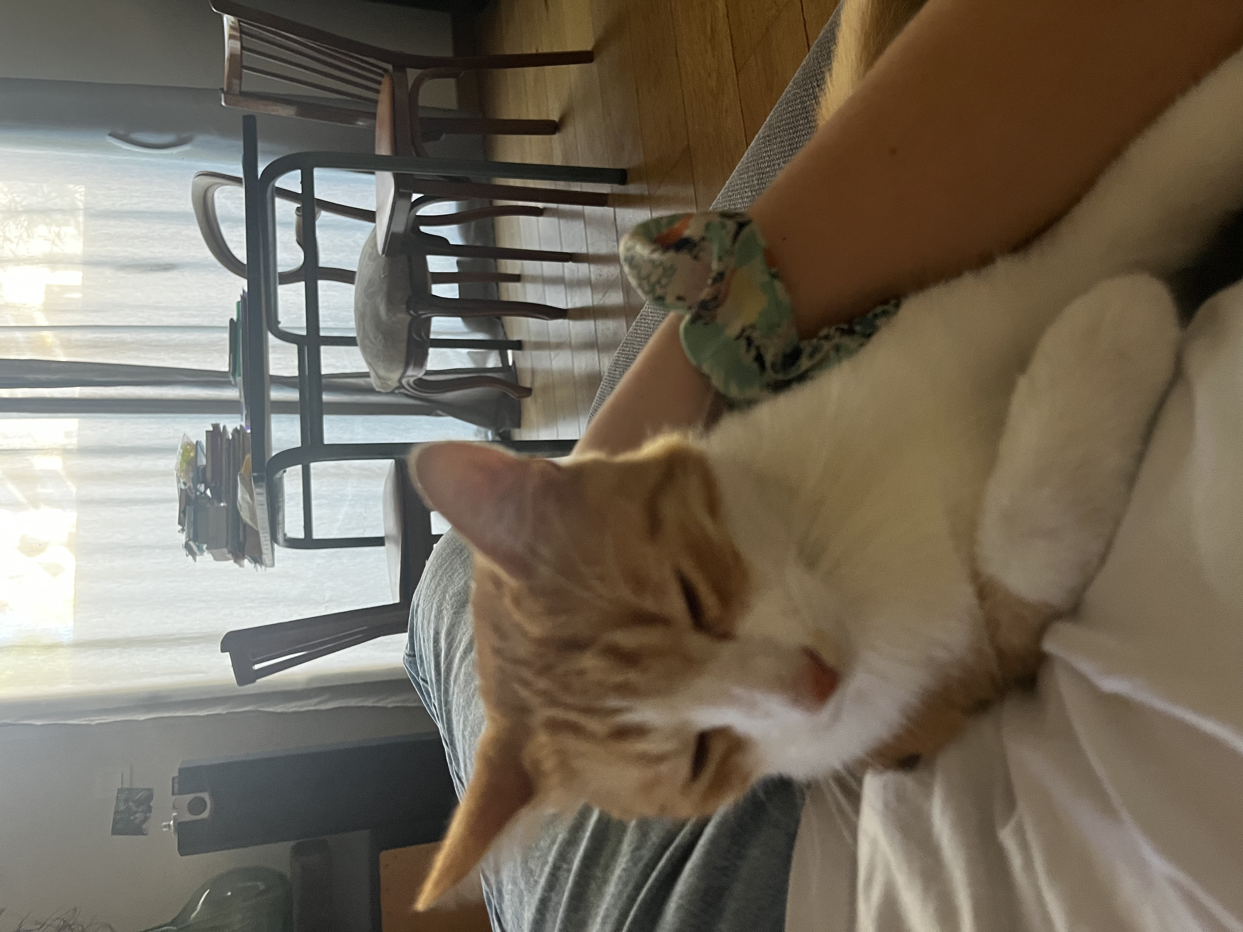 image-13