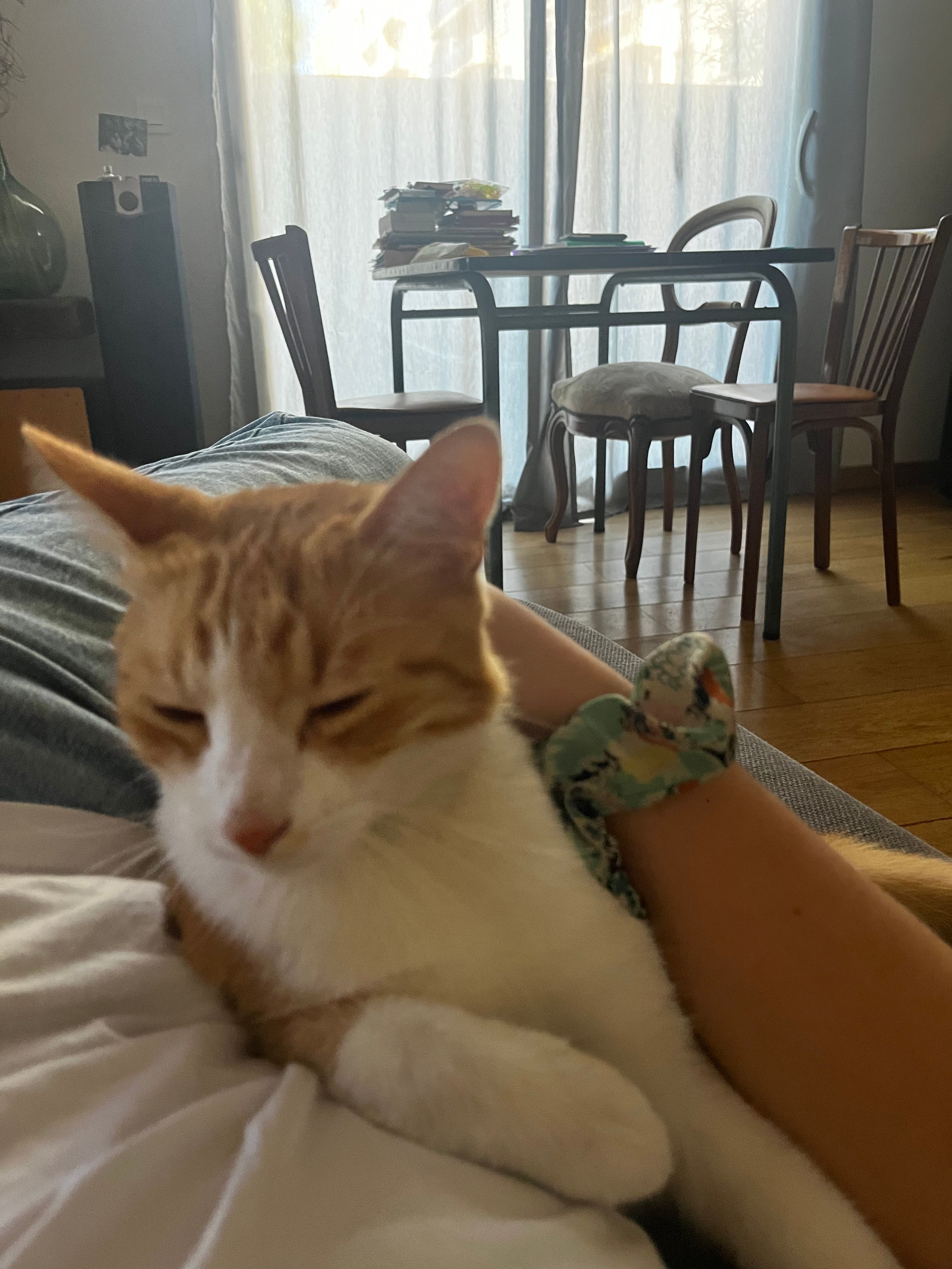 image-13