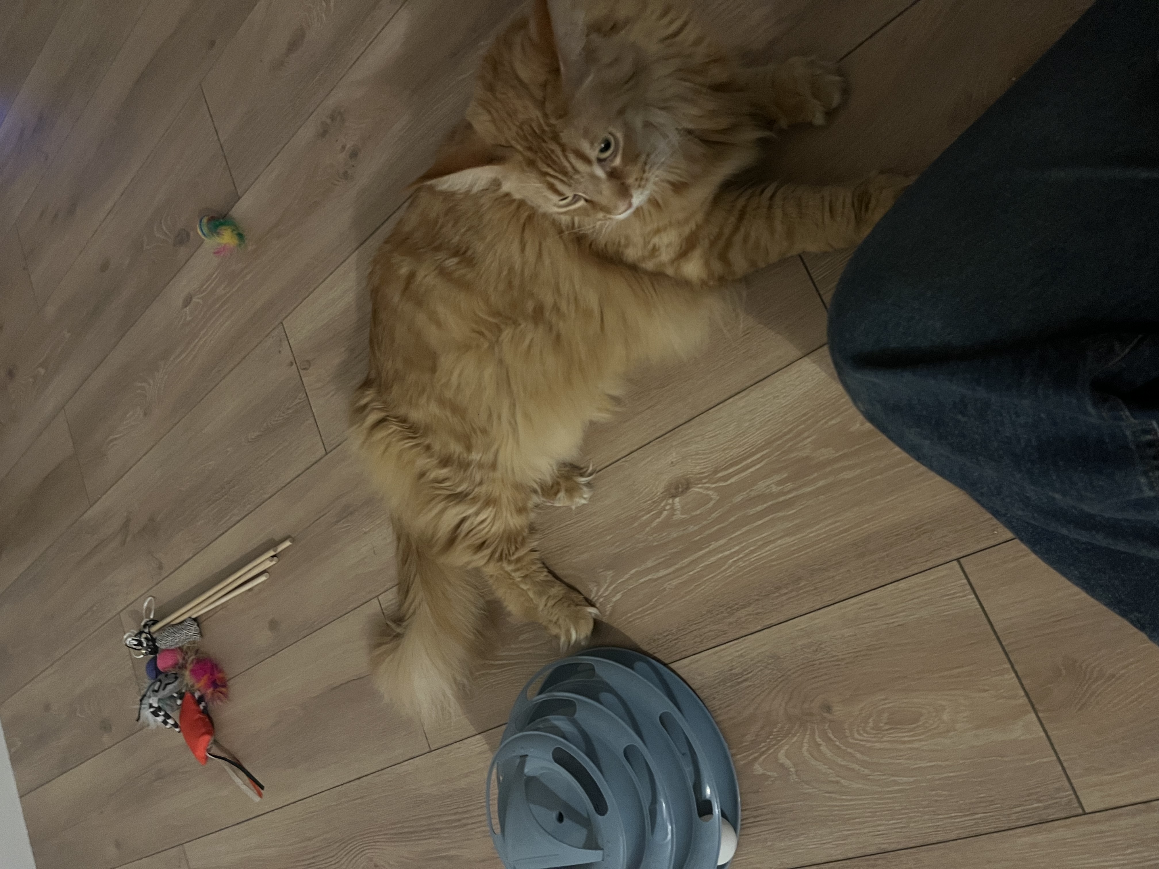 image-12