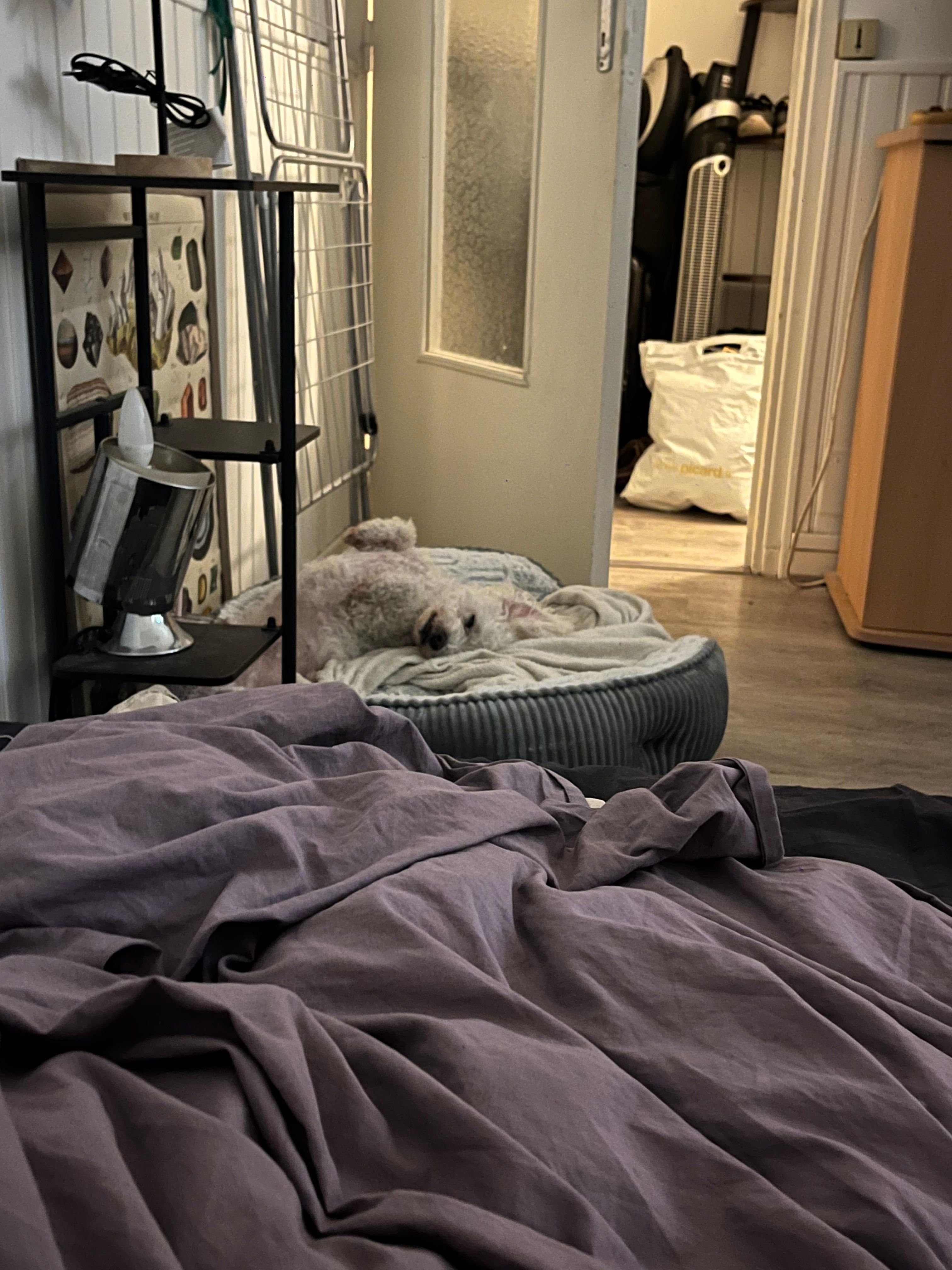 image-13