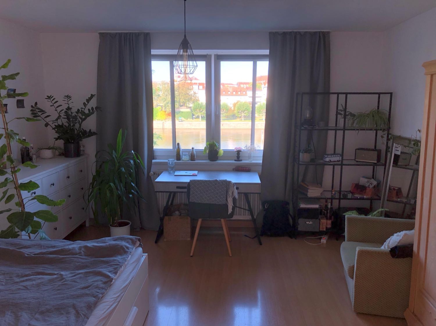 image-7