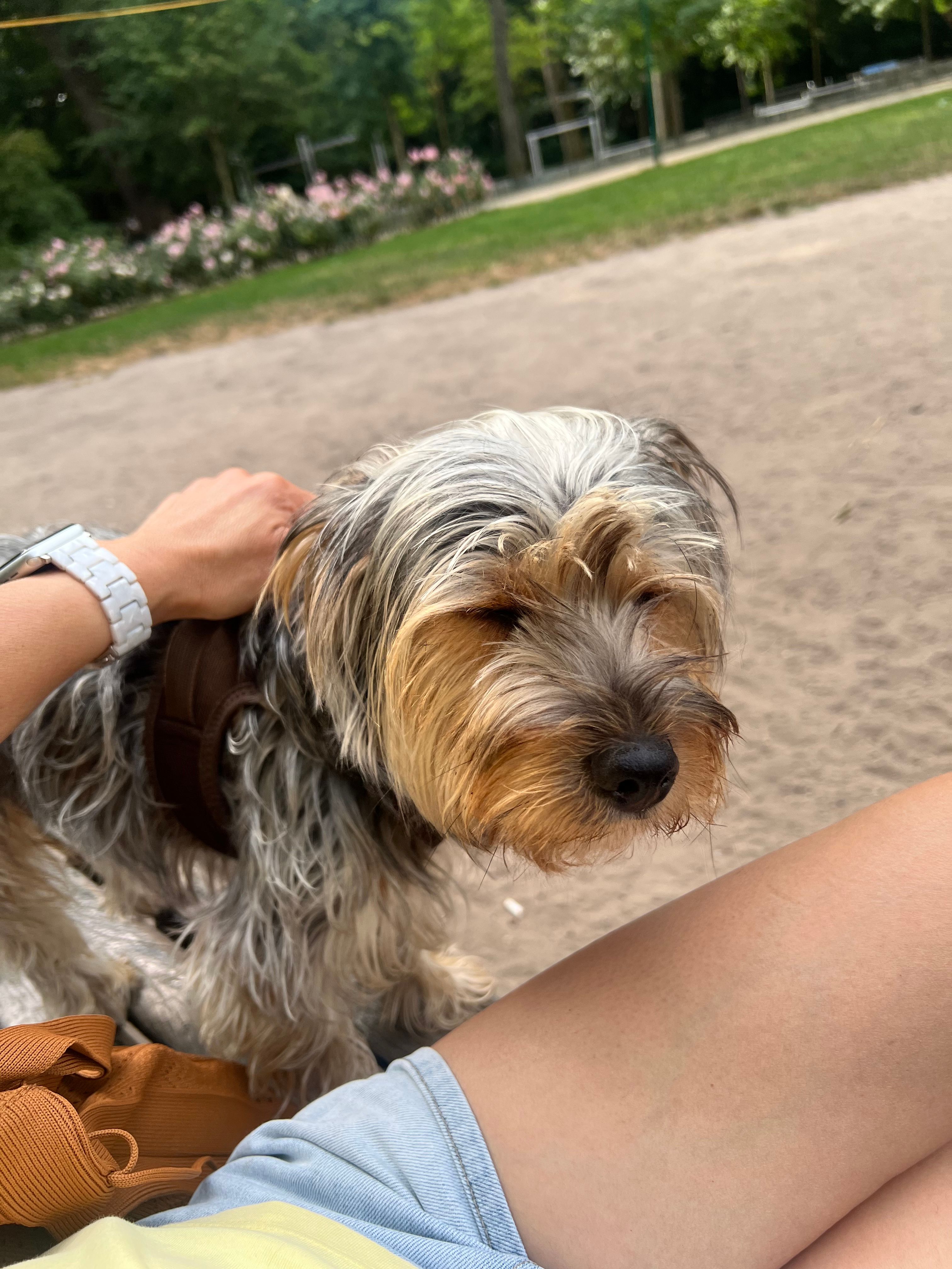 image-6