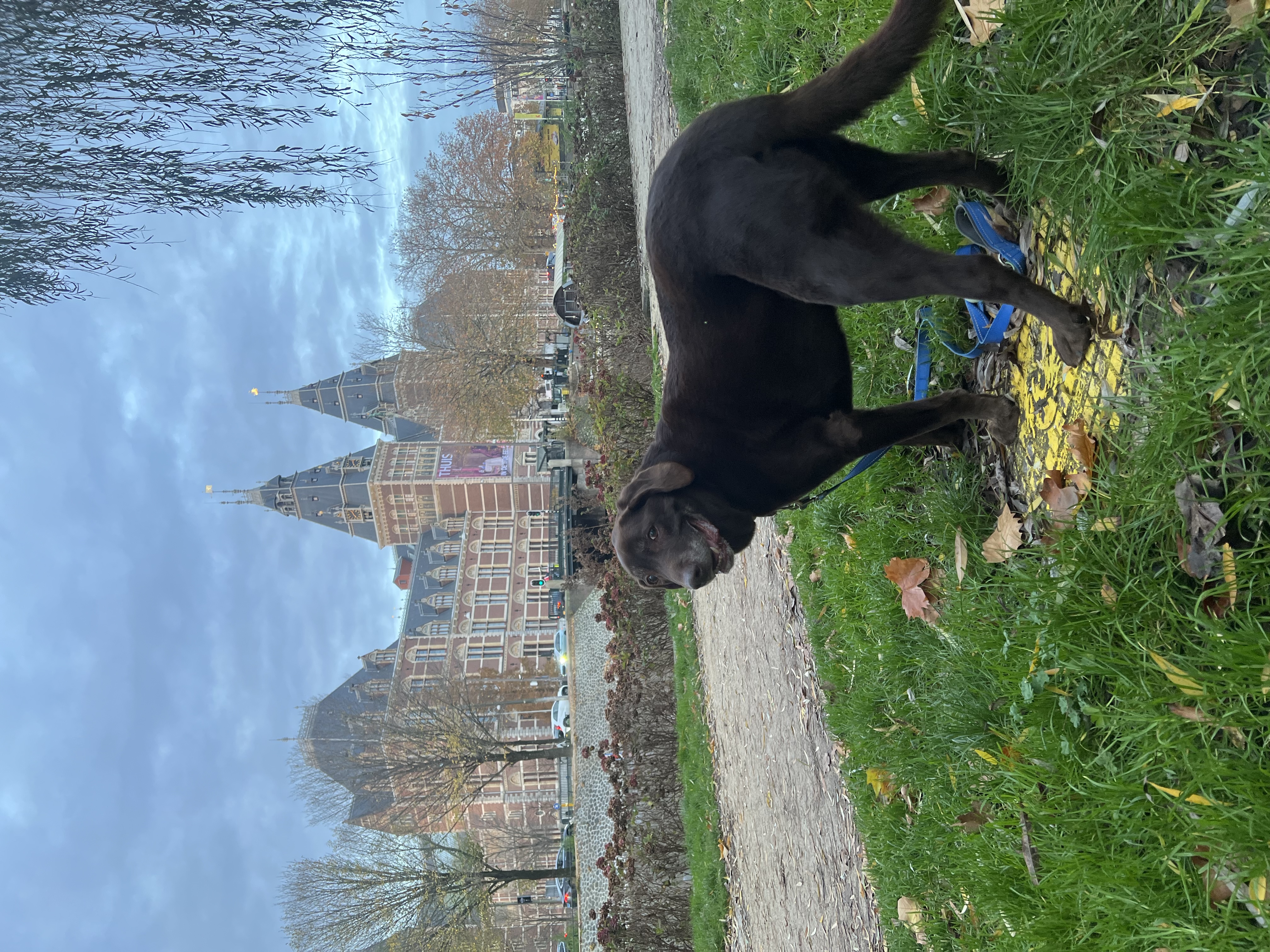 image-7