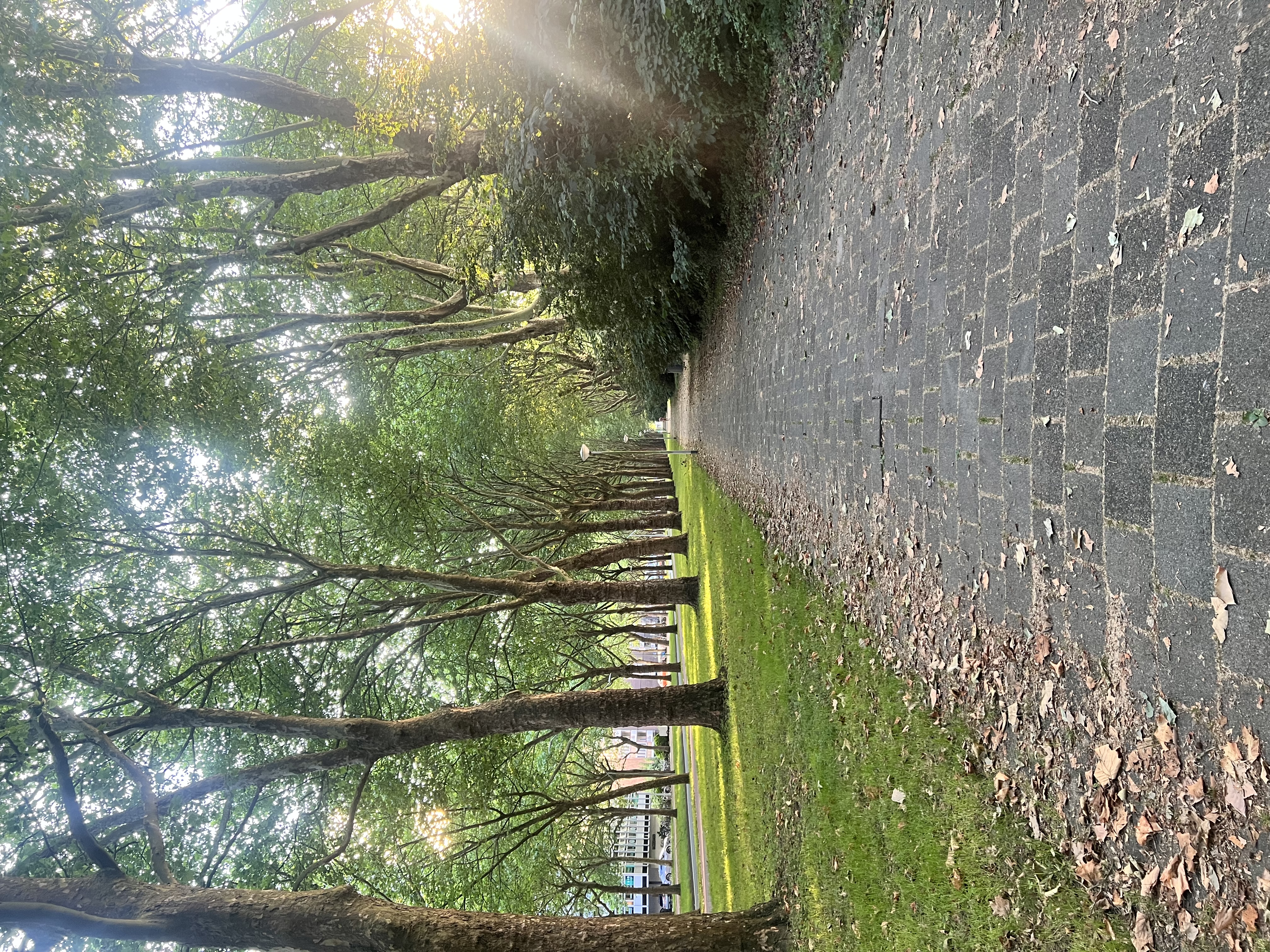 image-16