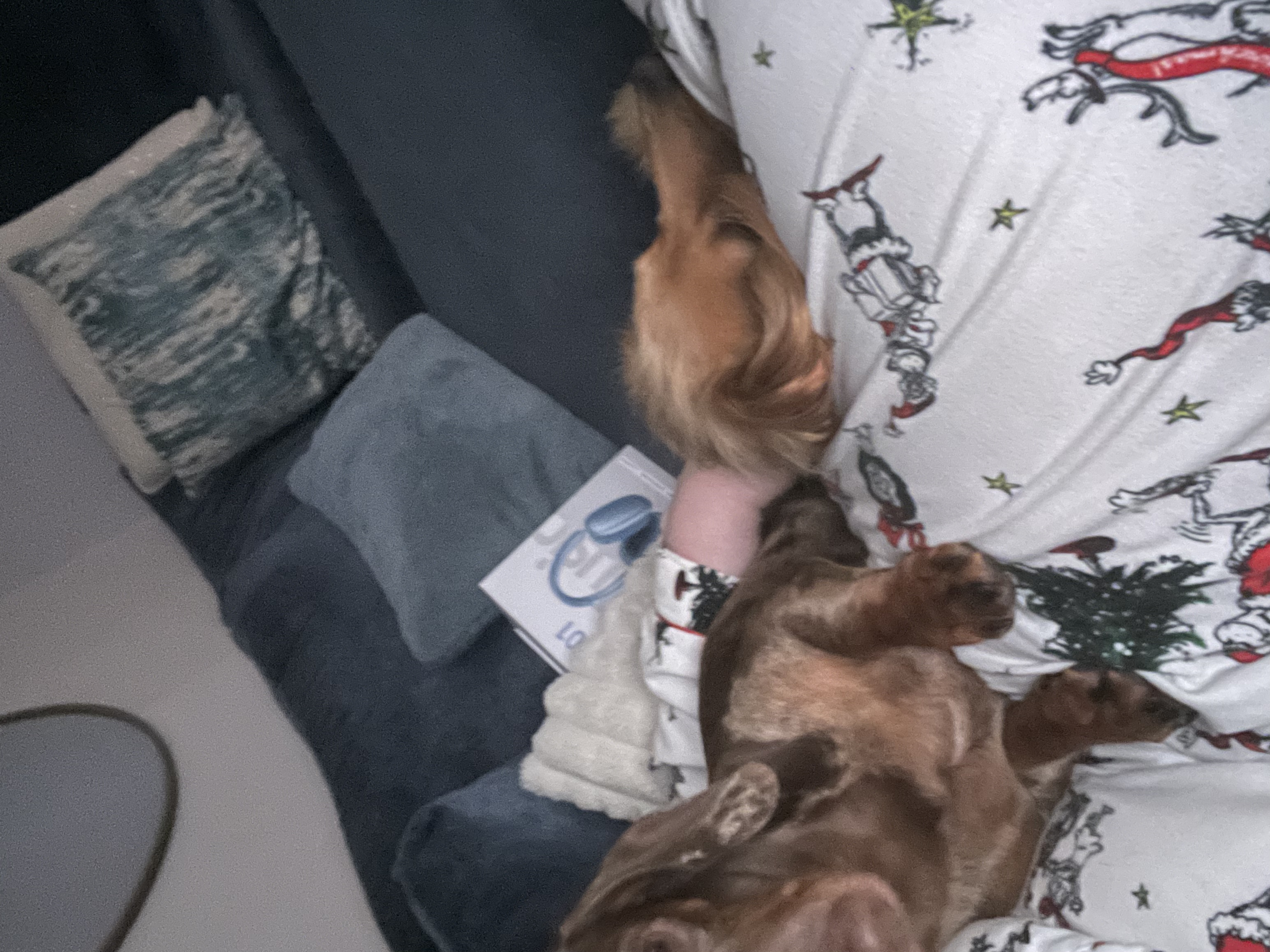 image-4