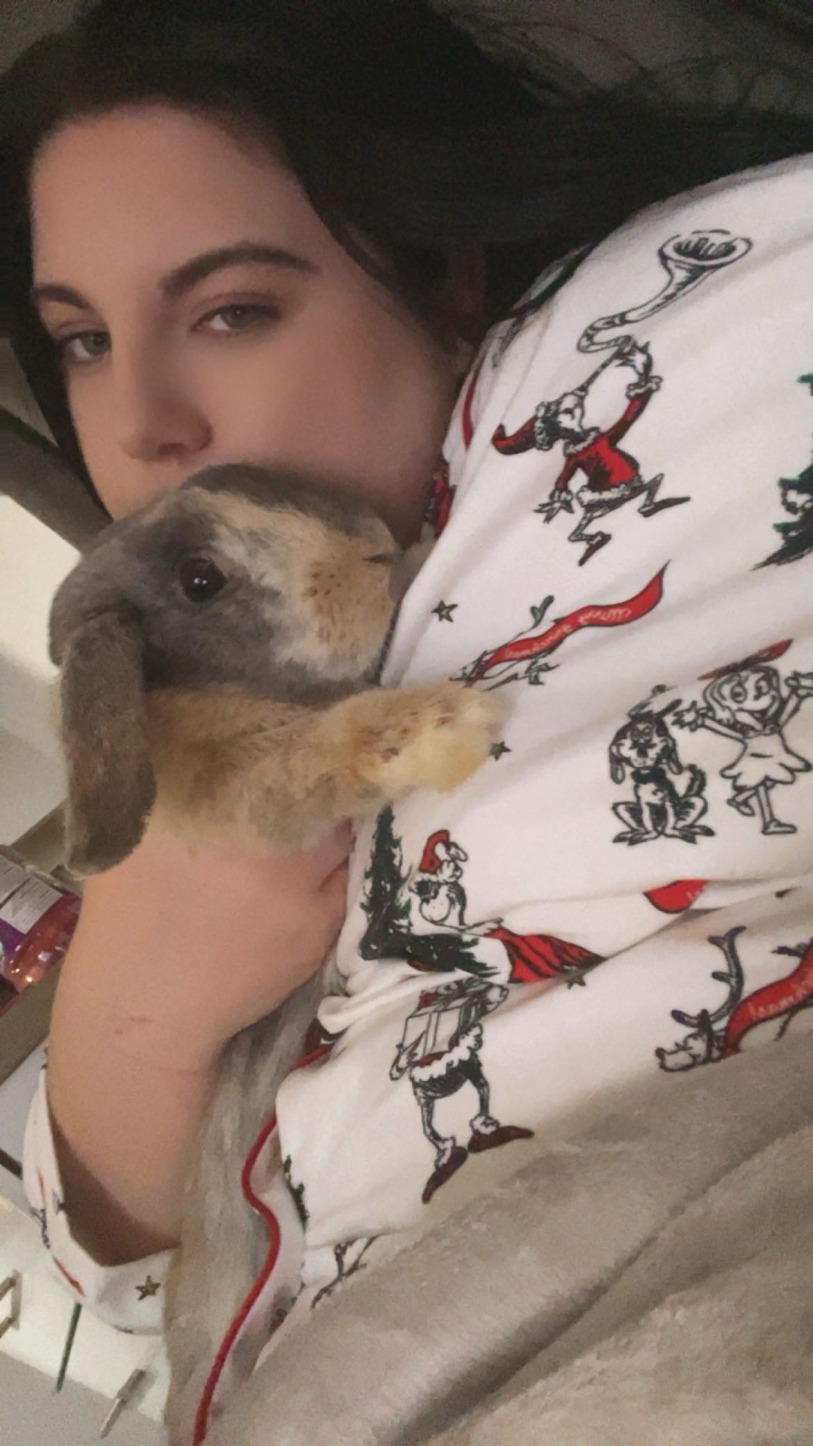 image-2