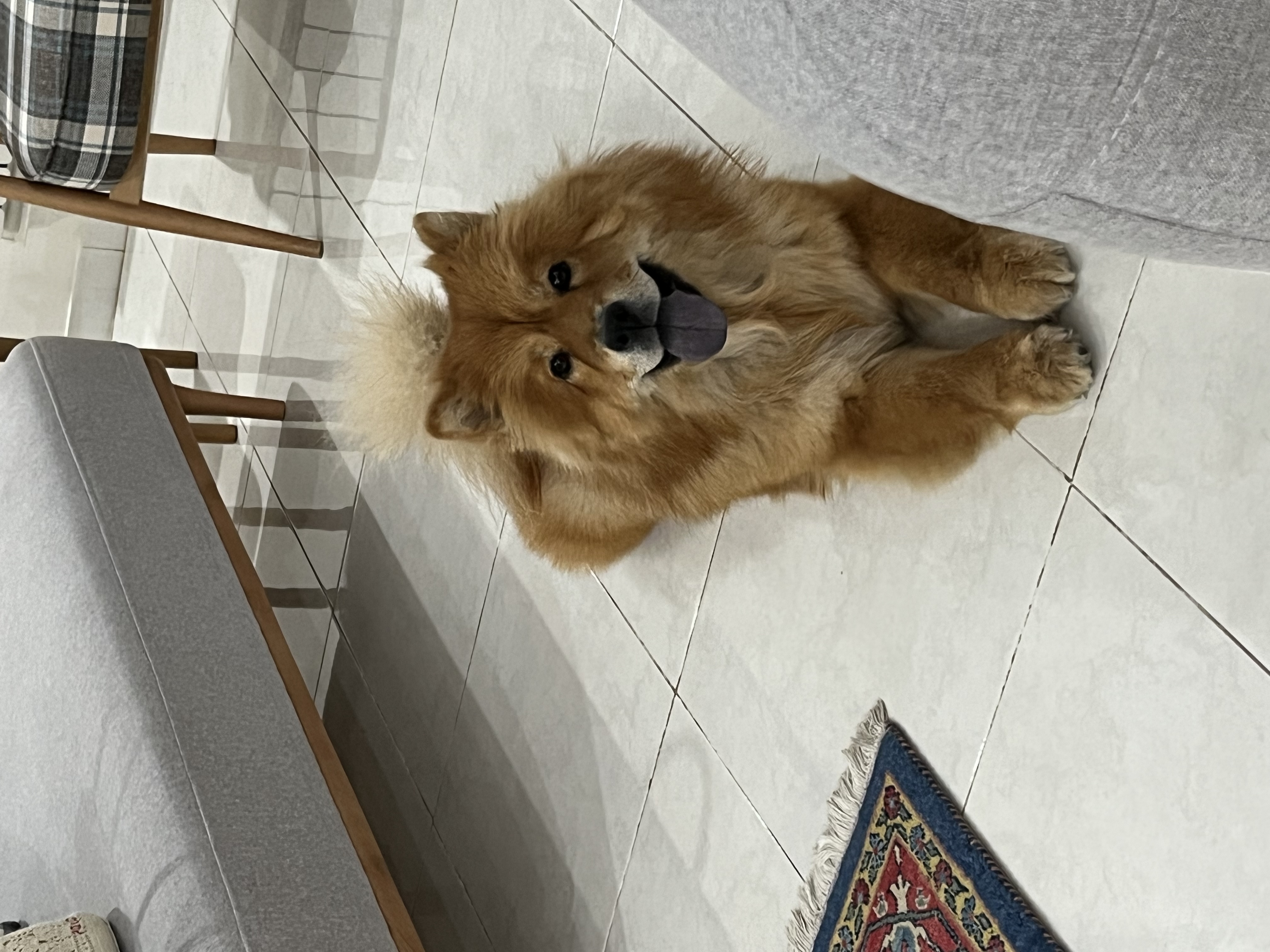 image-7