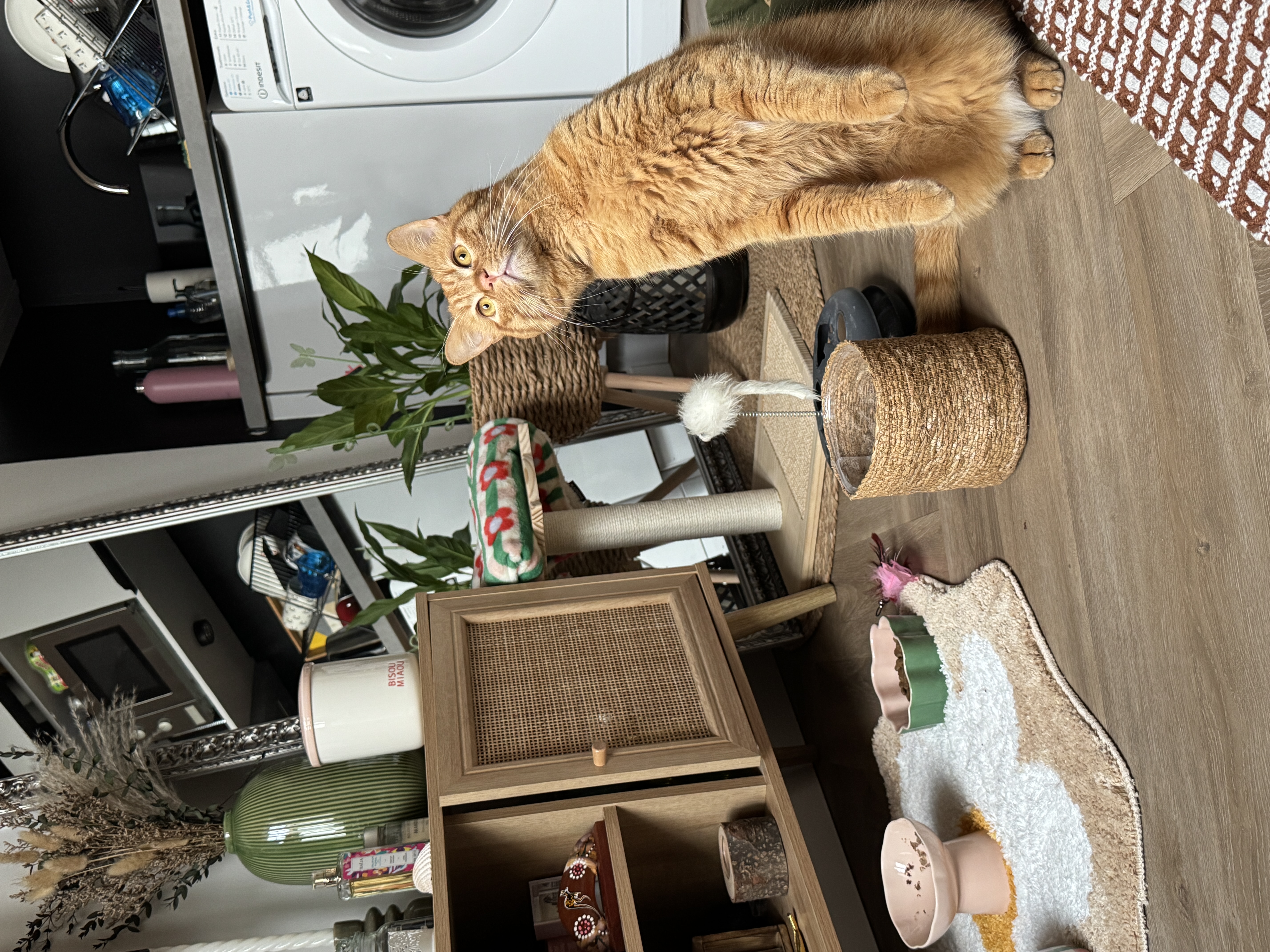 image-6