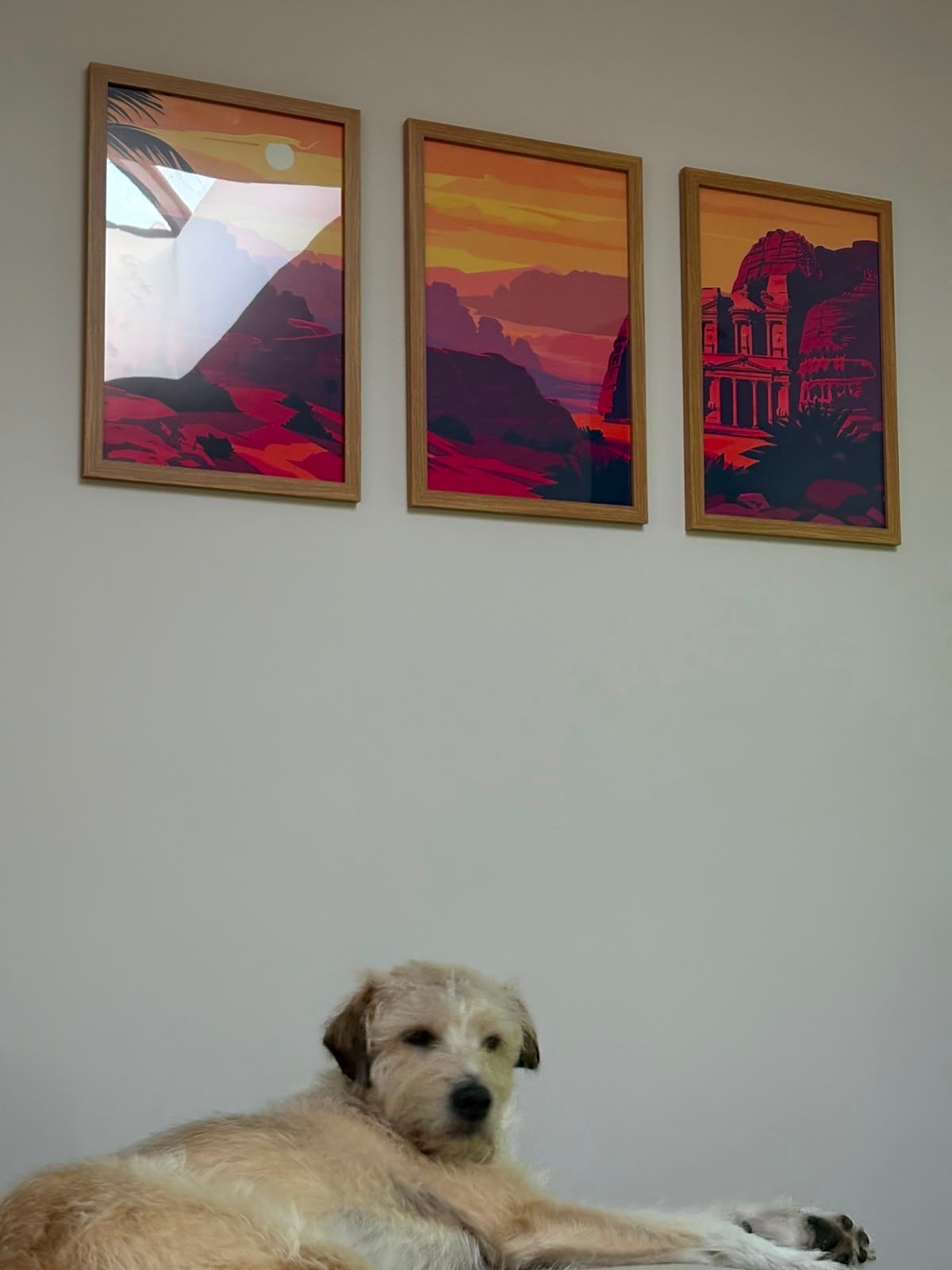 image-6