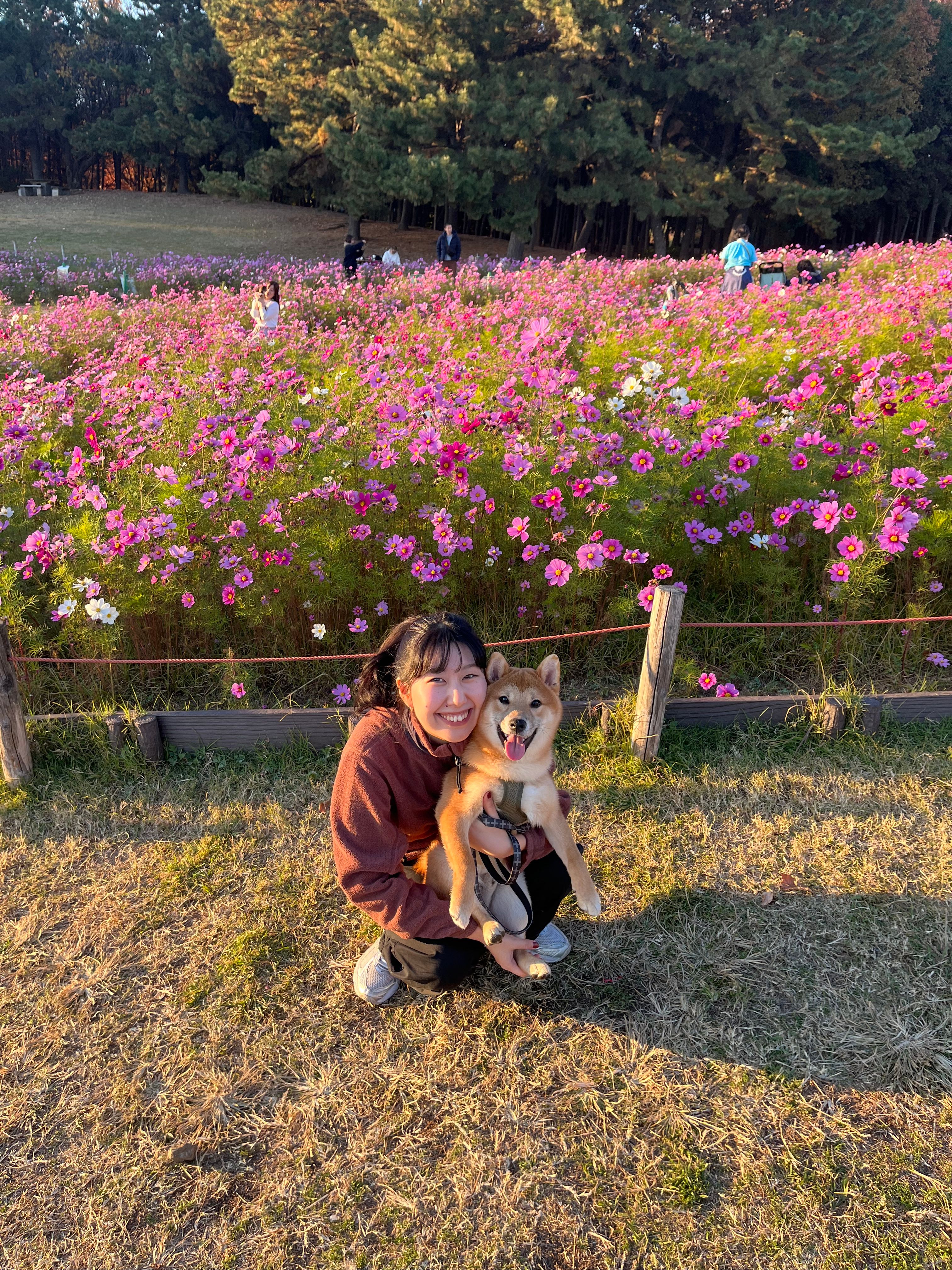 image-0