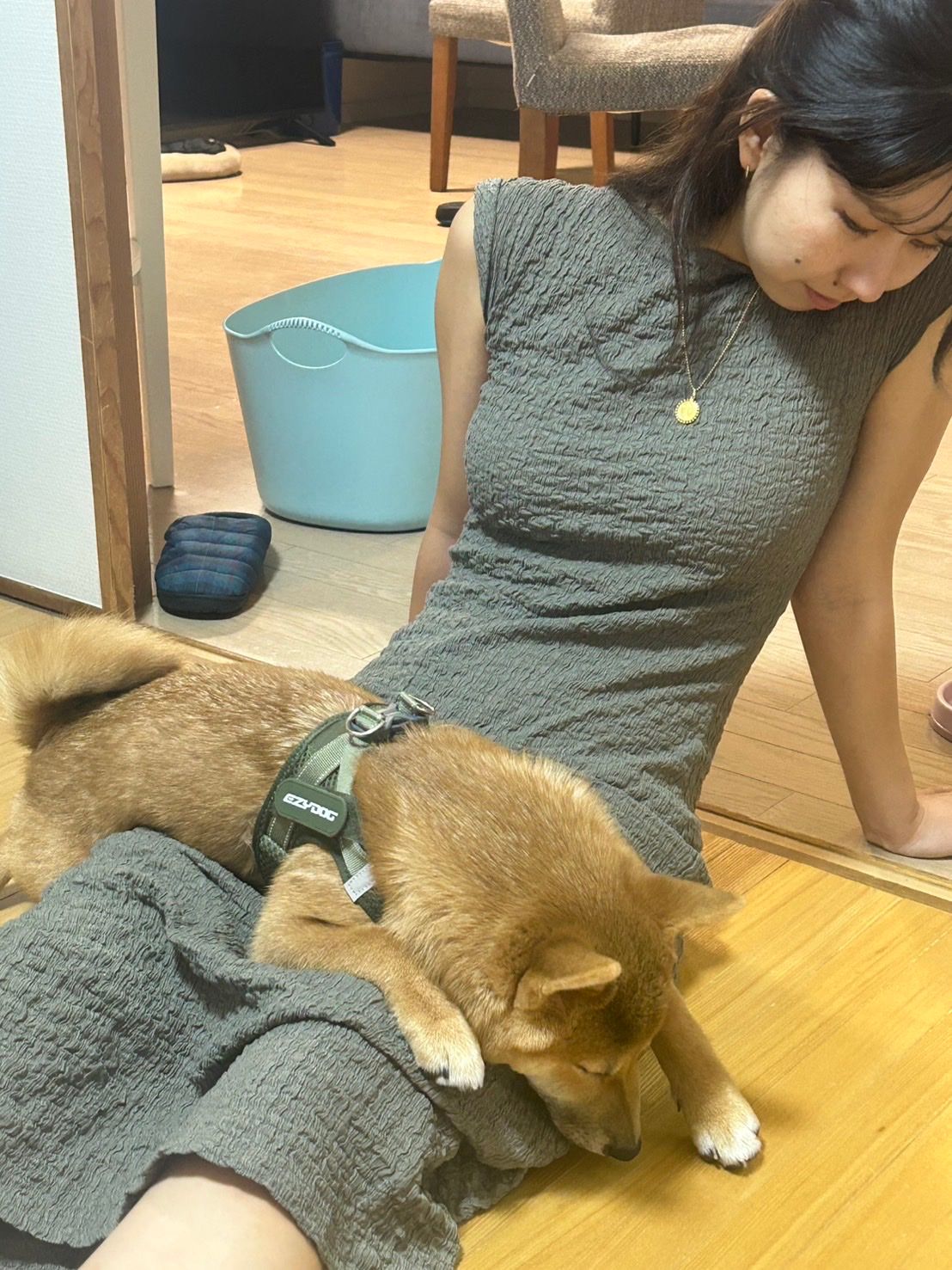 image-3