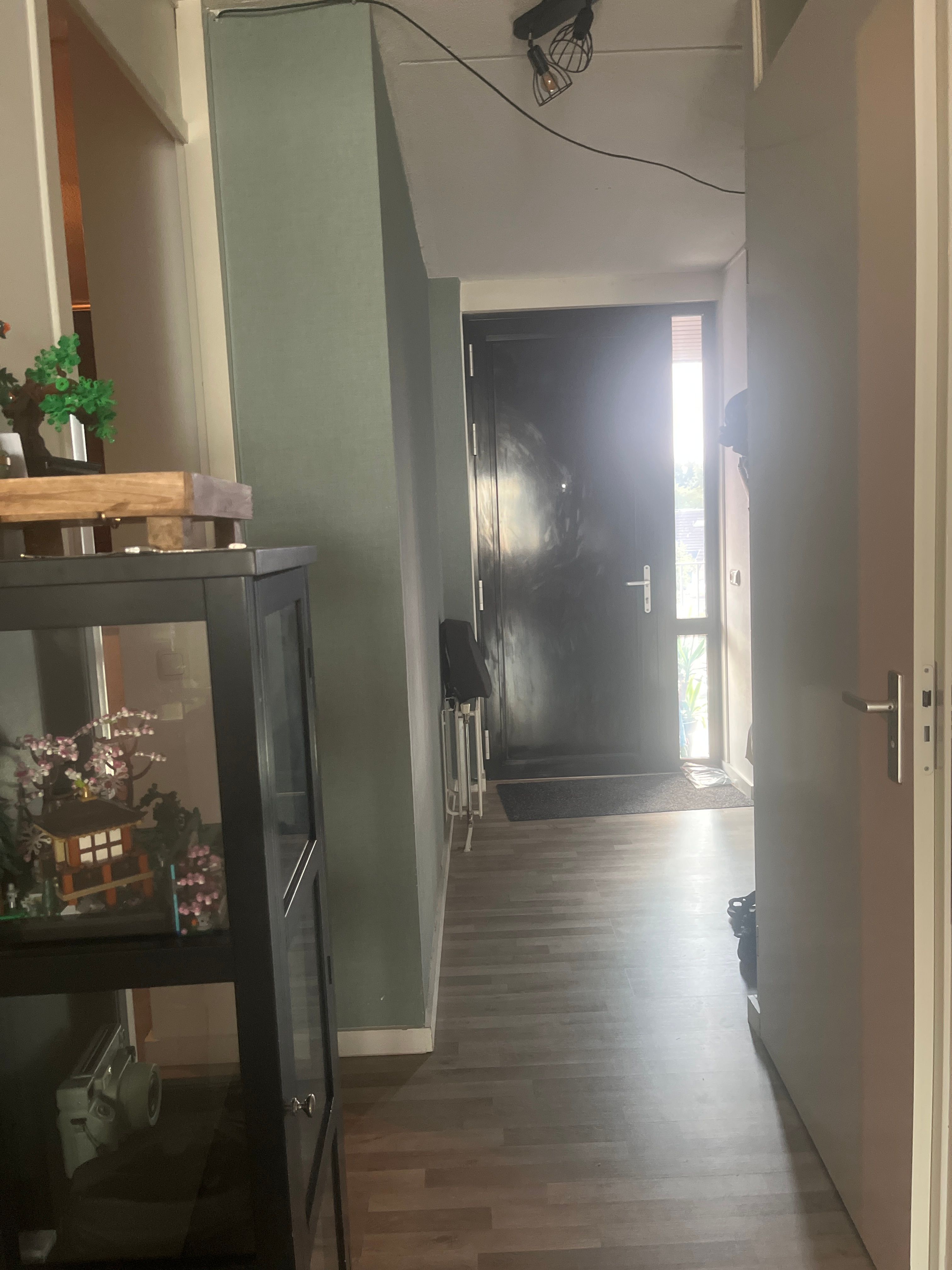 image-11