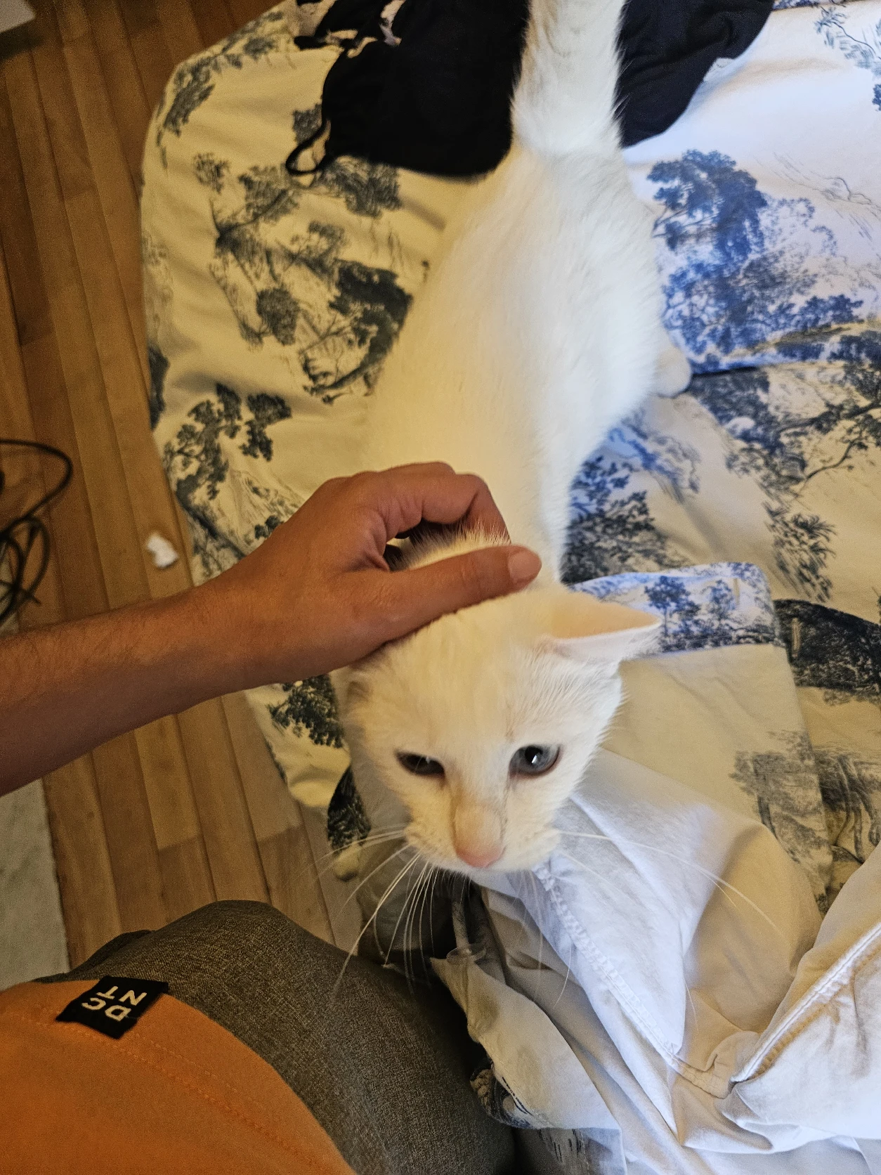 image-8