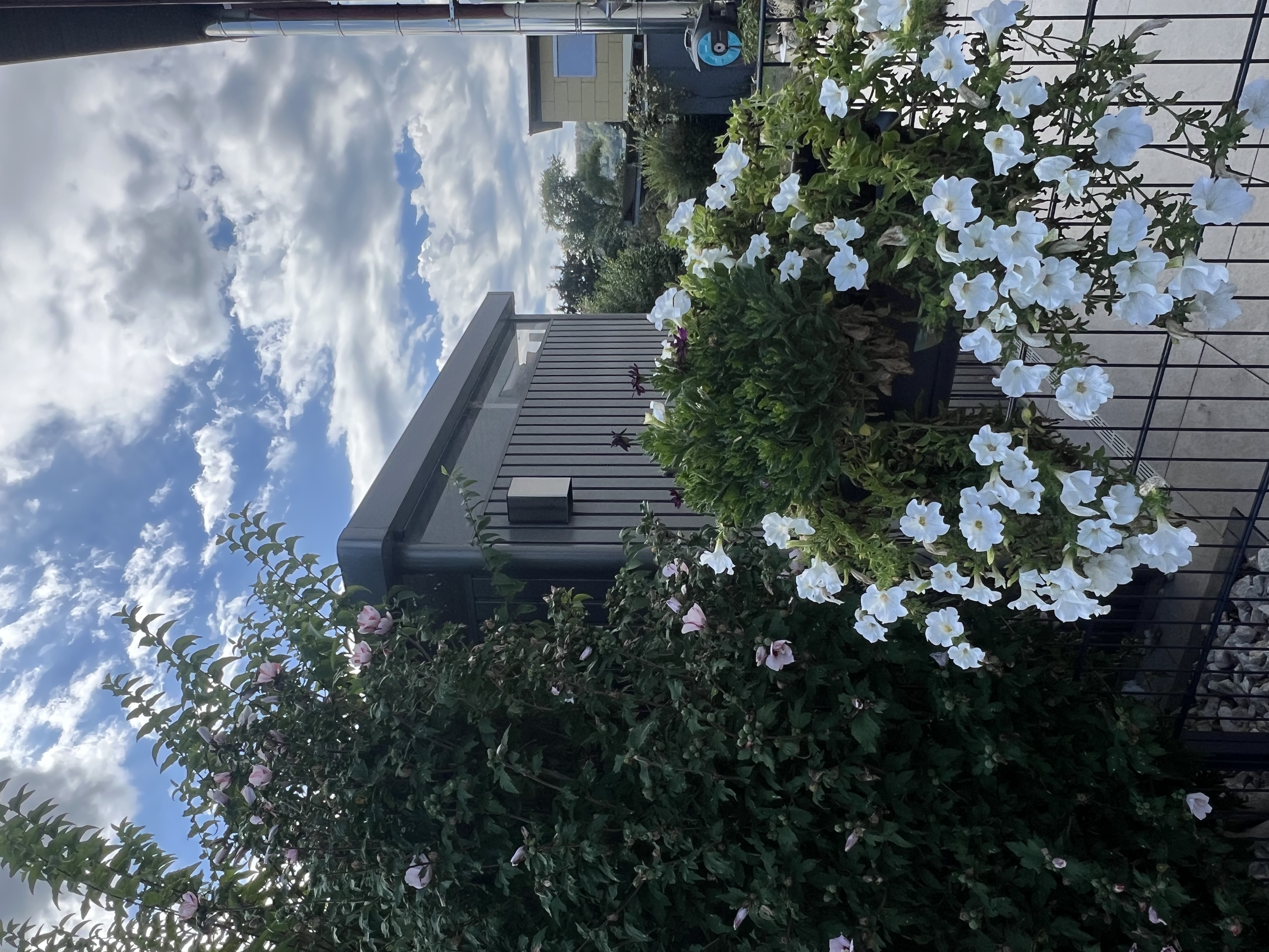 image-14